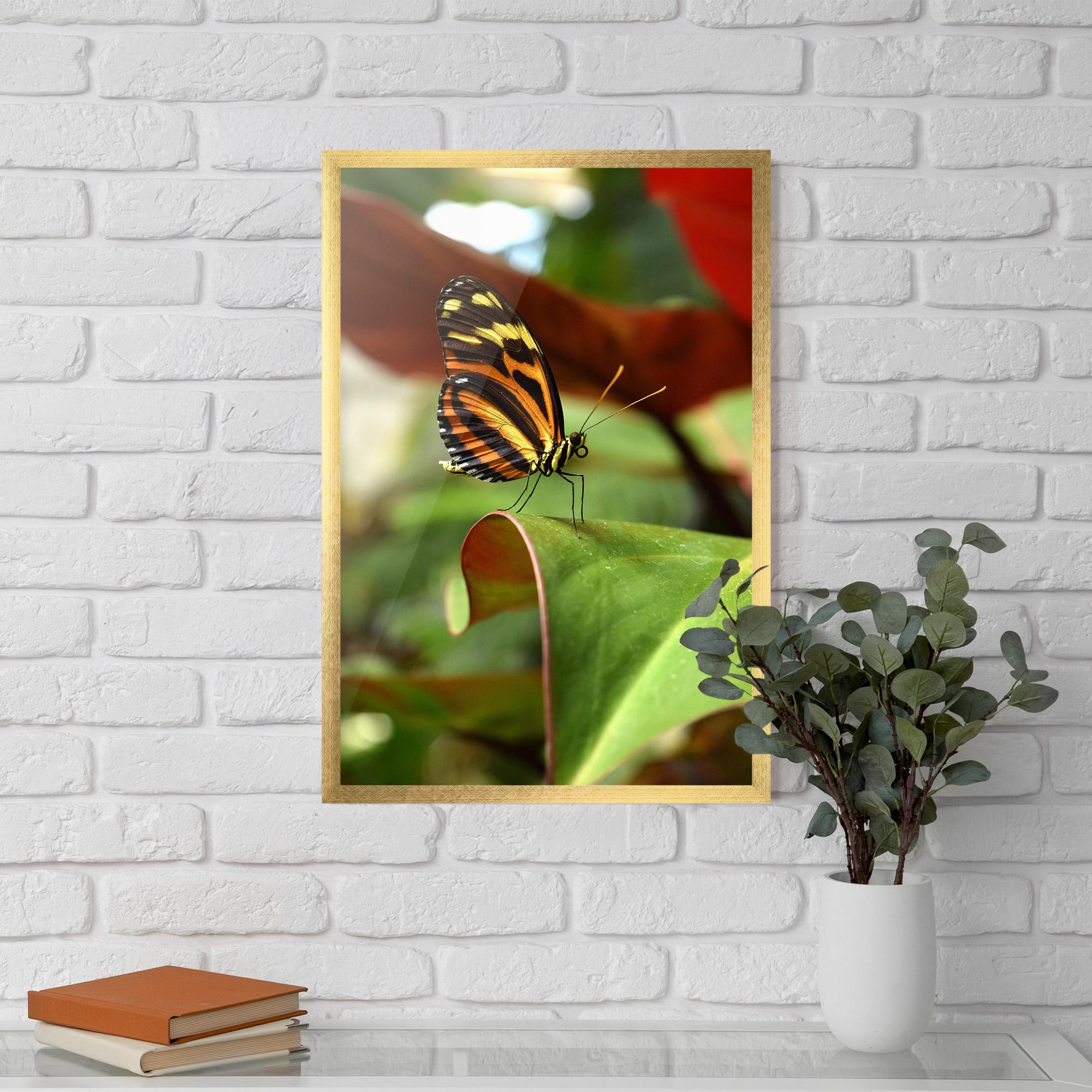 Gerahmte Poster Orange Yellow Butterfly mockup 5