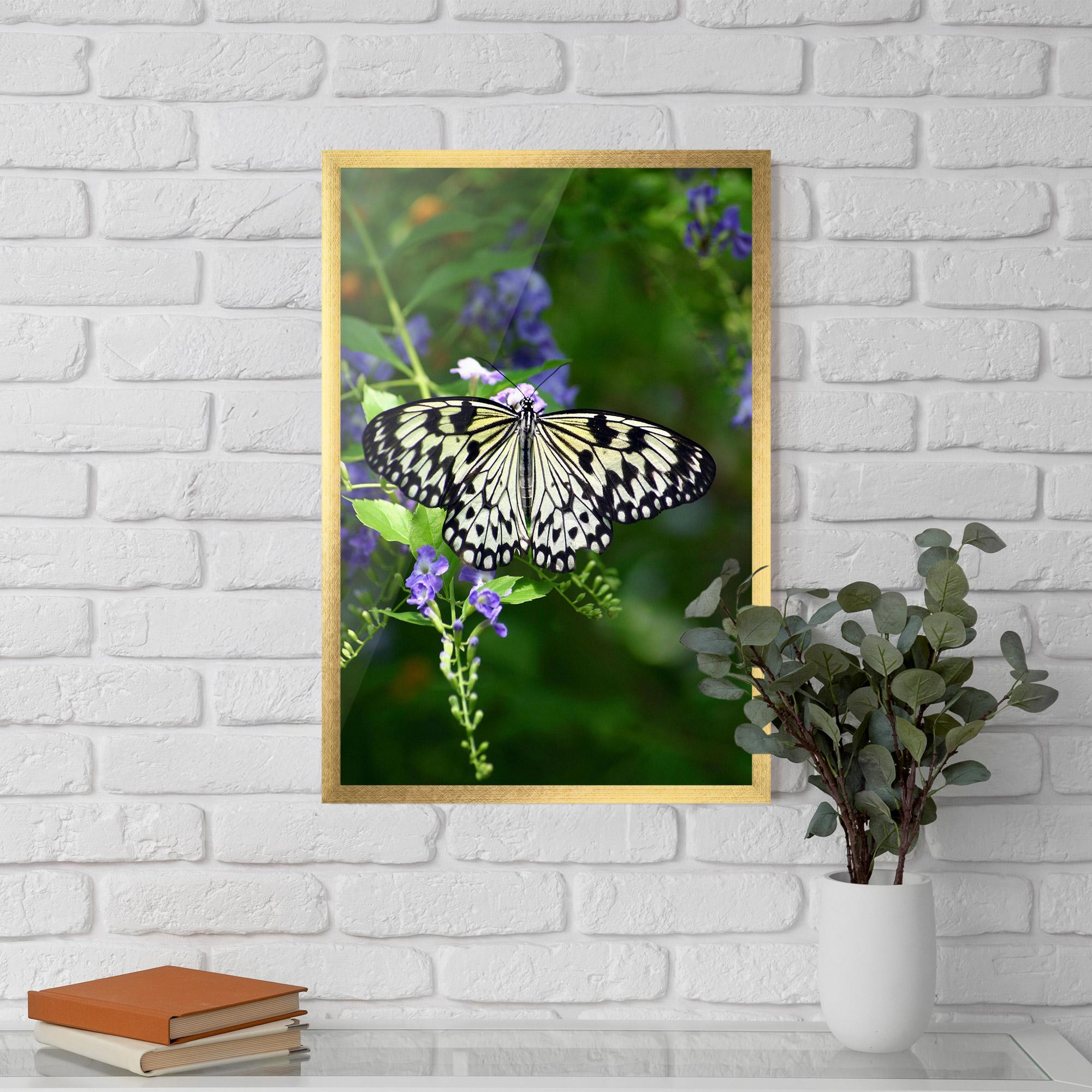 Gerahmte Poster Pretty White Butterfly mockup 5