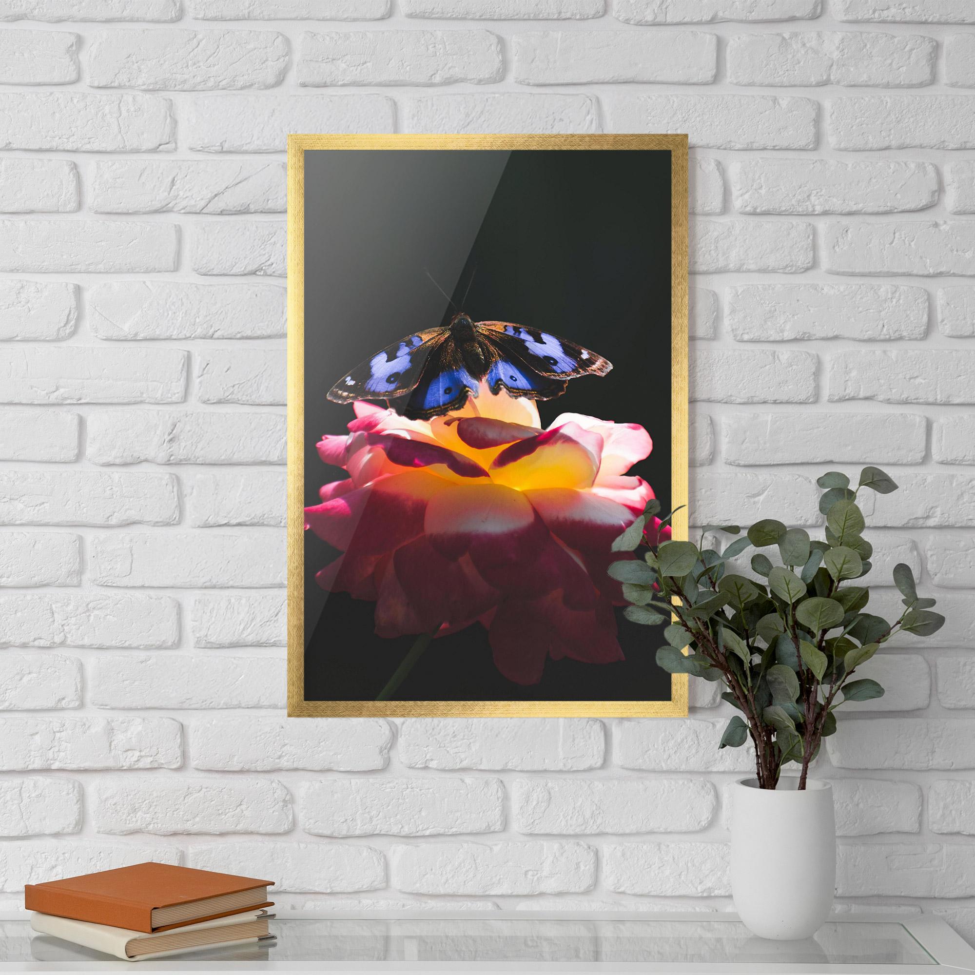 Gerahmte Poster Rose Butterfly mockup 5
