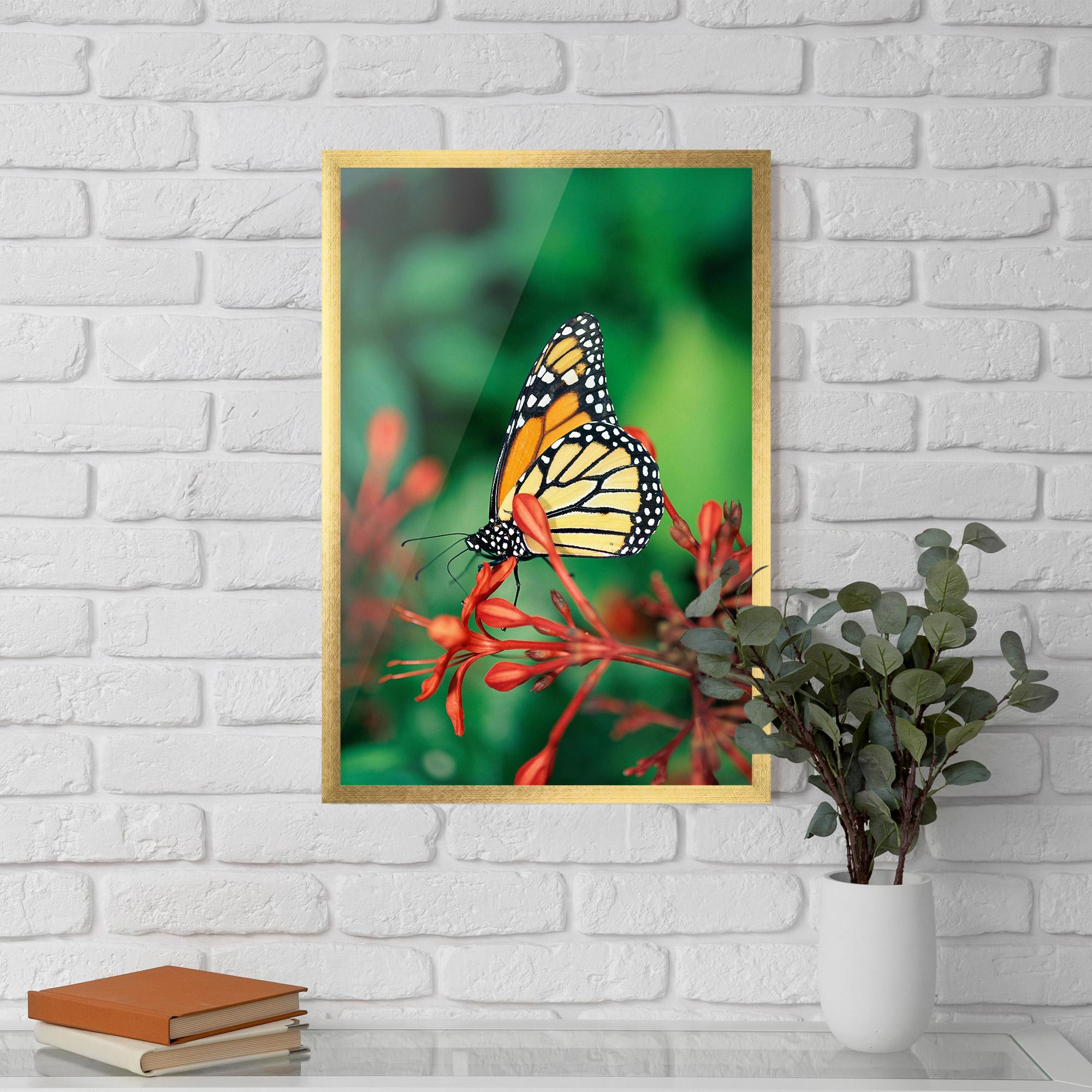 Gerahmte Poster Small Orange Butterfly mockup 5