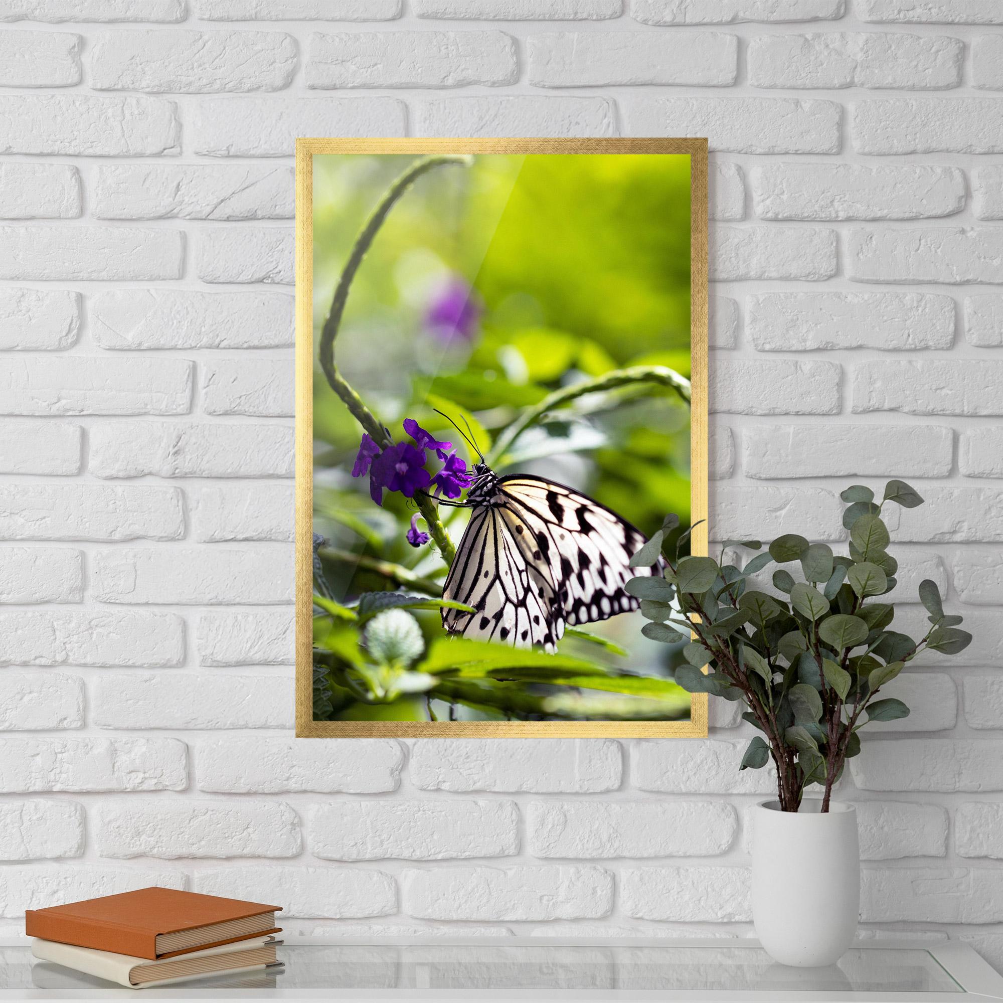 Gerahmte Poster White Black Butterfly mockup 5