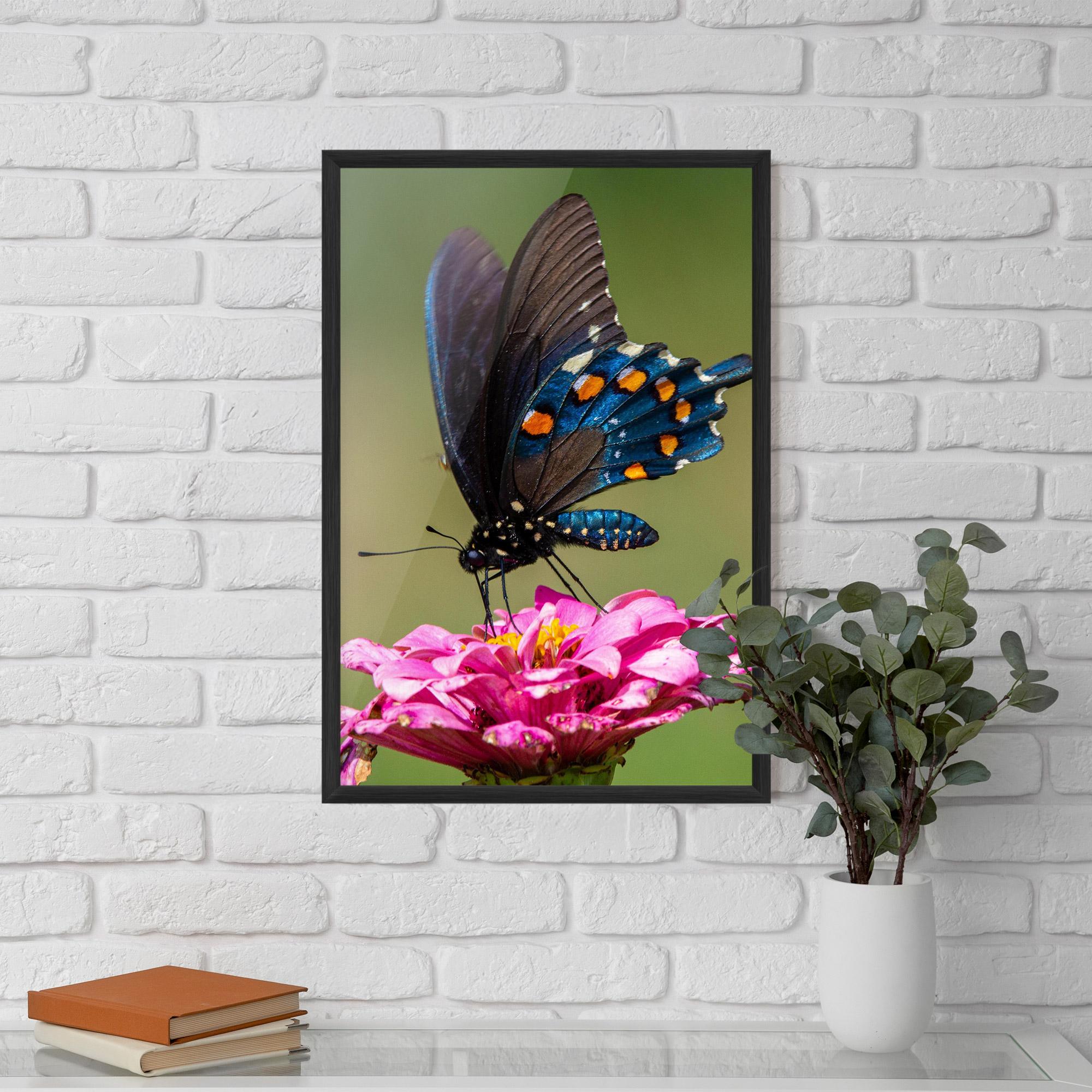 Gerahmte Poster Blue Grey Butterfly mockup 5