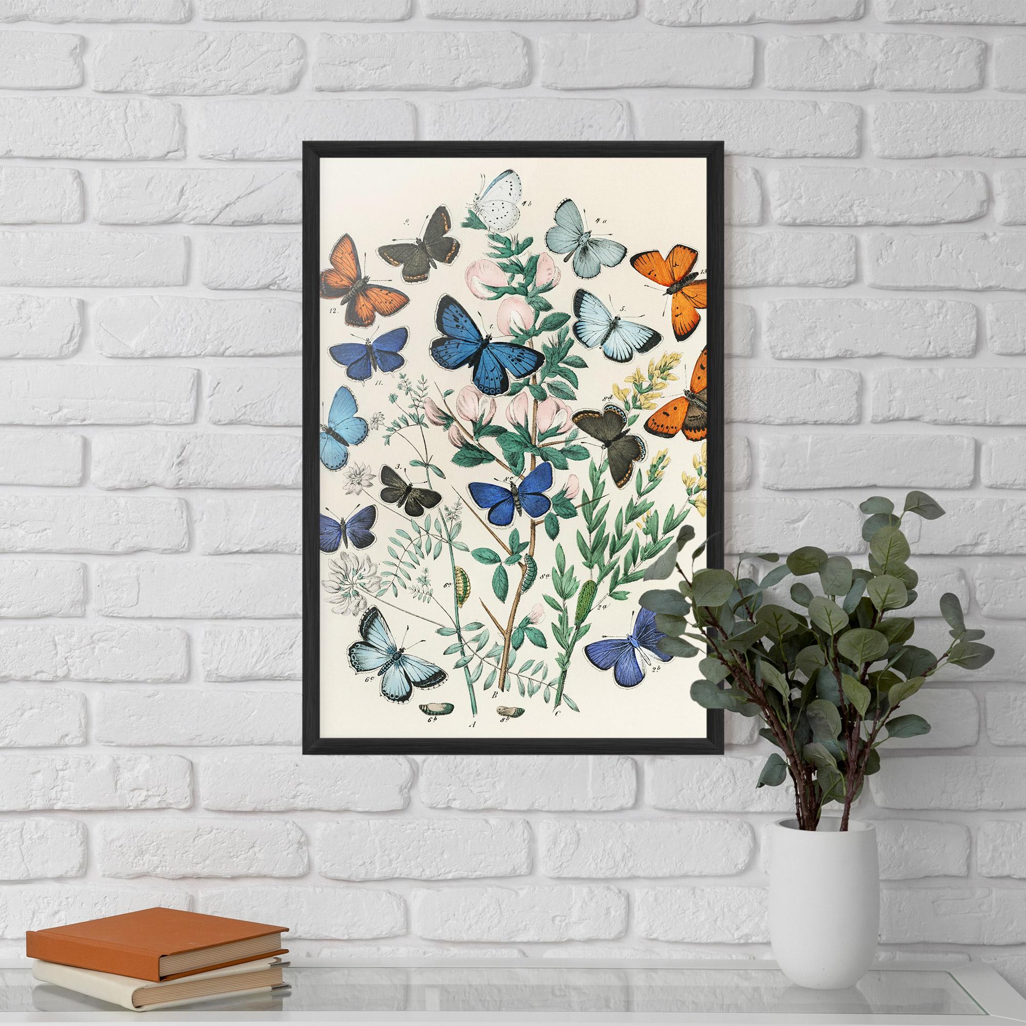 Gerahmte Poster Blue Orange Butterflies mockup 5