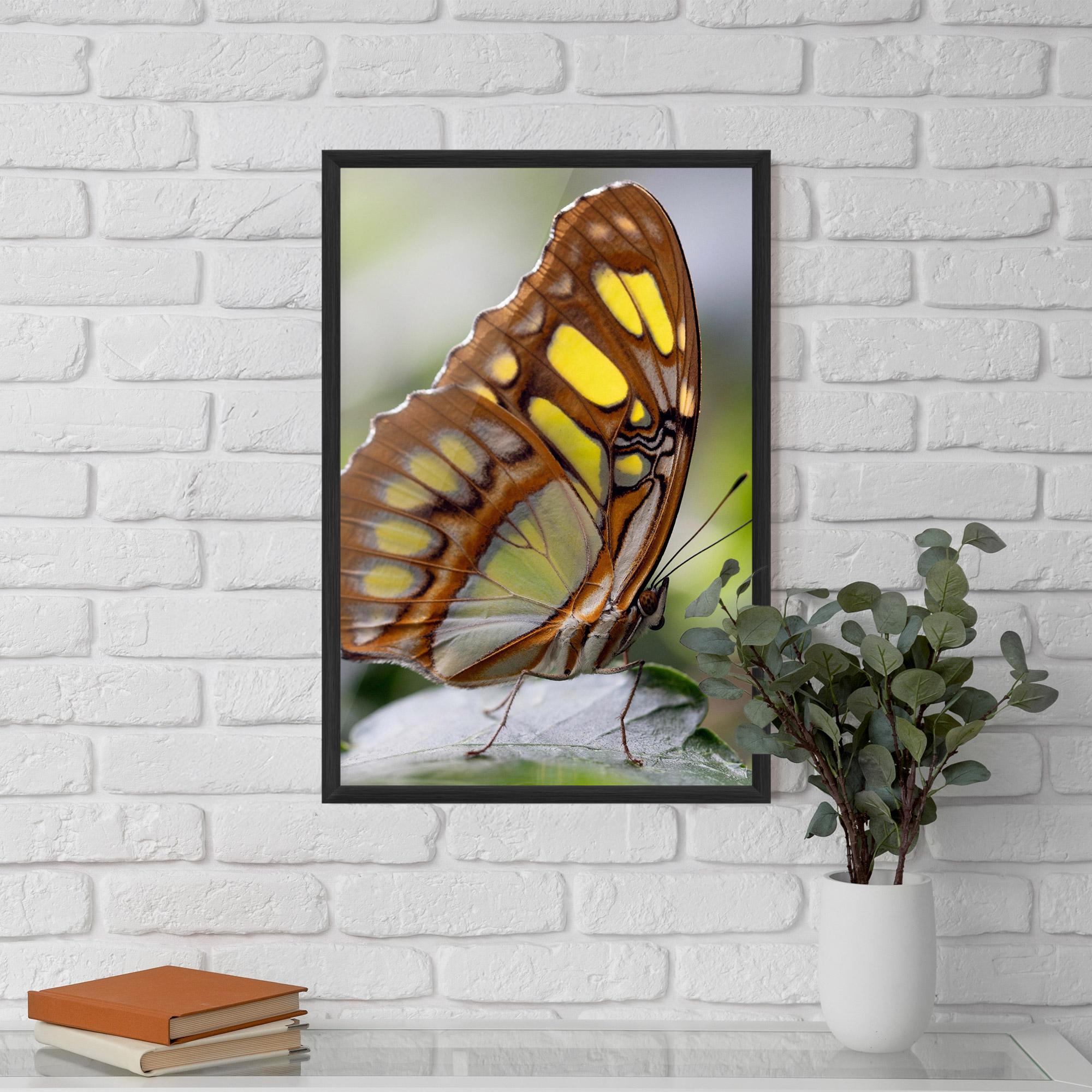 Gerahmte Poster Brown Yellow Butterfly mockup 5
