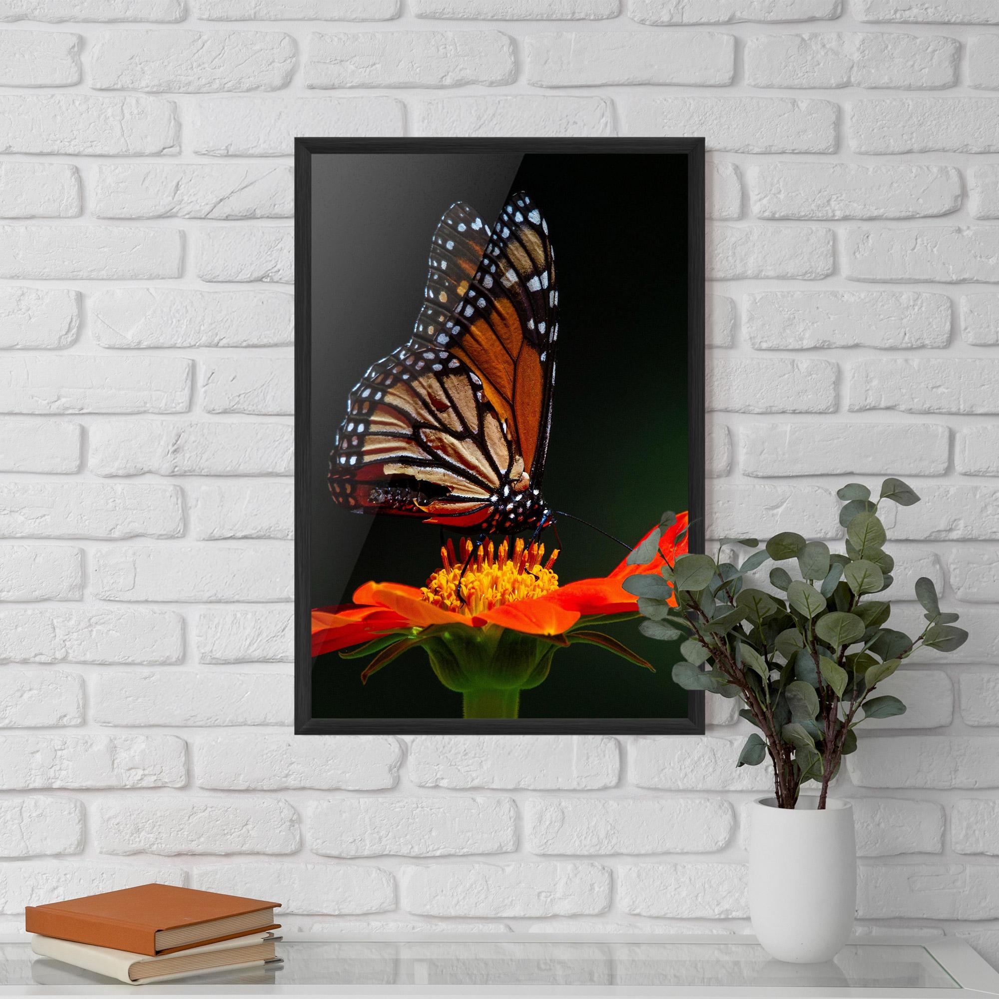 Gerahmte Poster Dark Orange Butterfy mockup 5