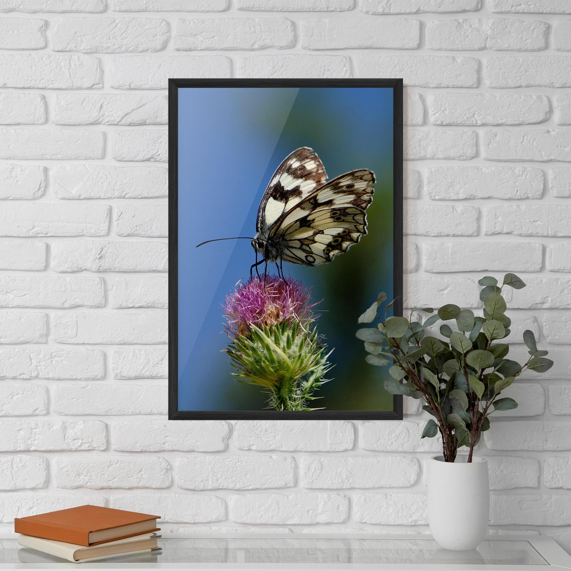 Gerahmte Poster Grey White Butterfly mockup 5