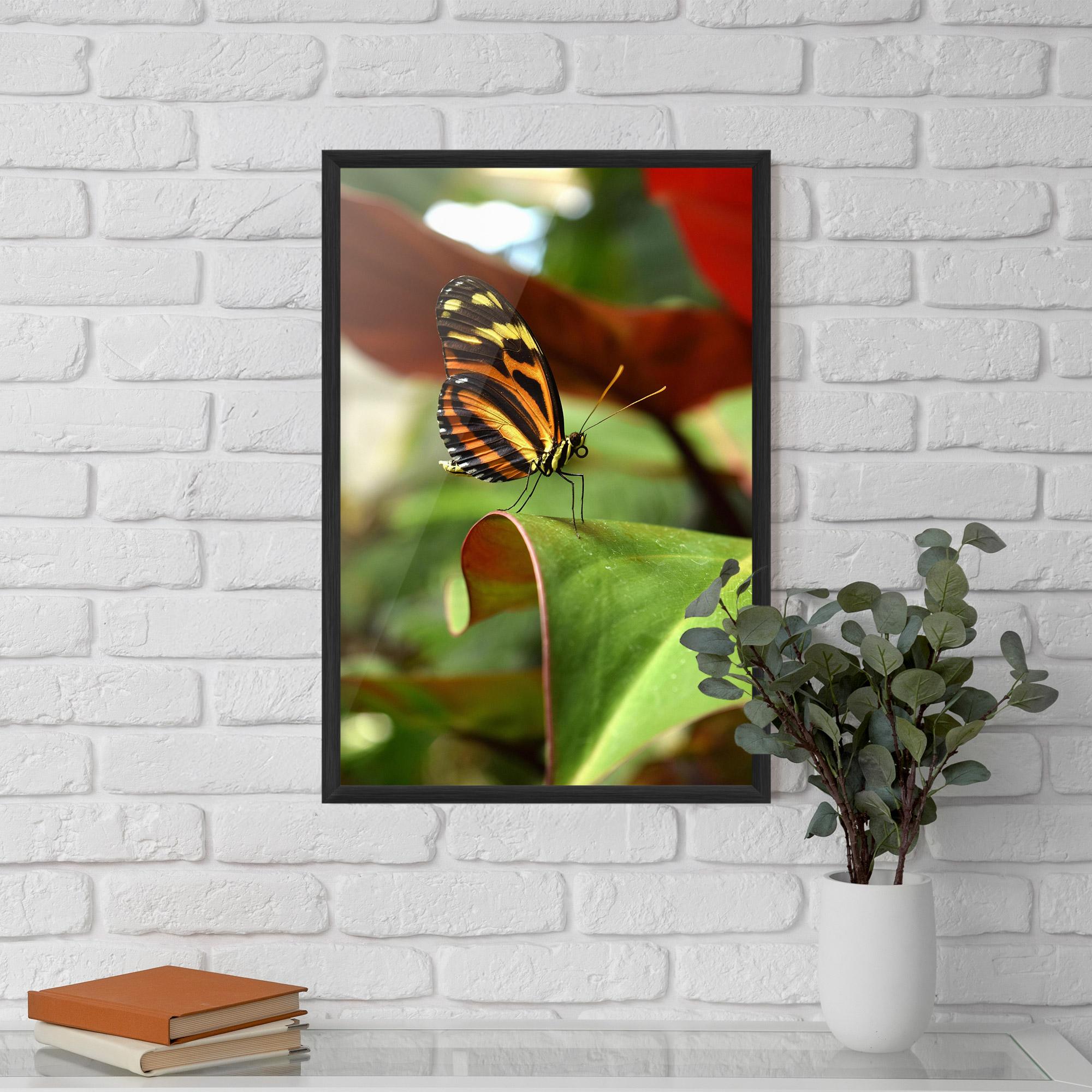 Gerahmte Poster Orange Yellow Butterfly mockup 5