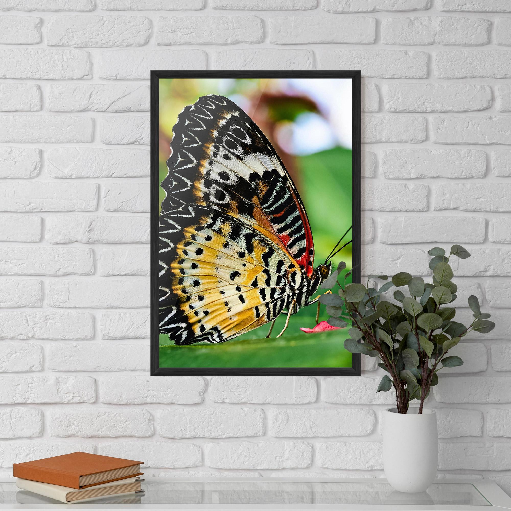 Gerahmte Poster Pretty Colorful Butterfly mockup 5