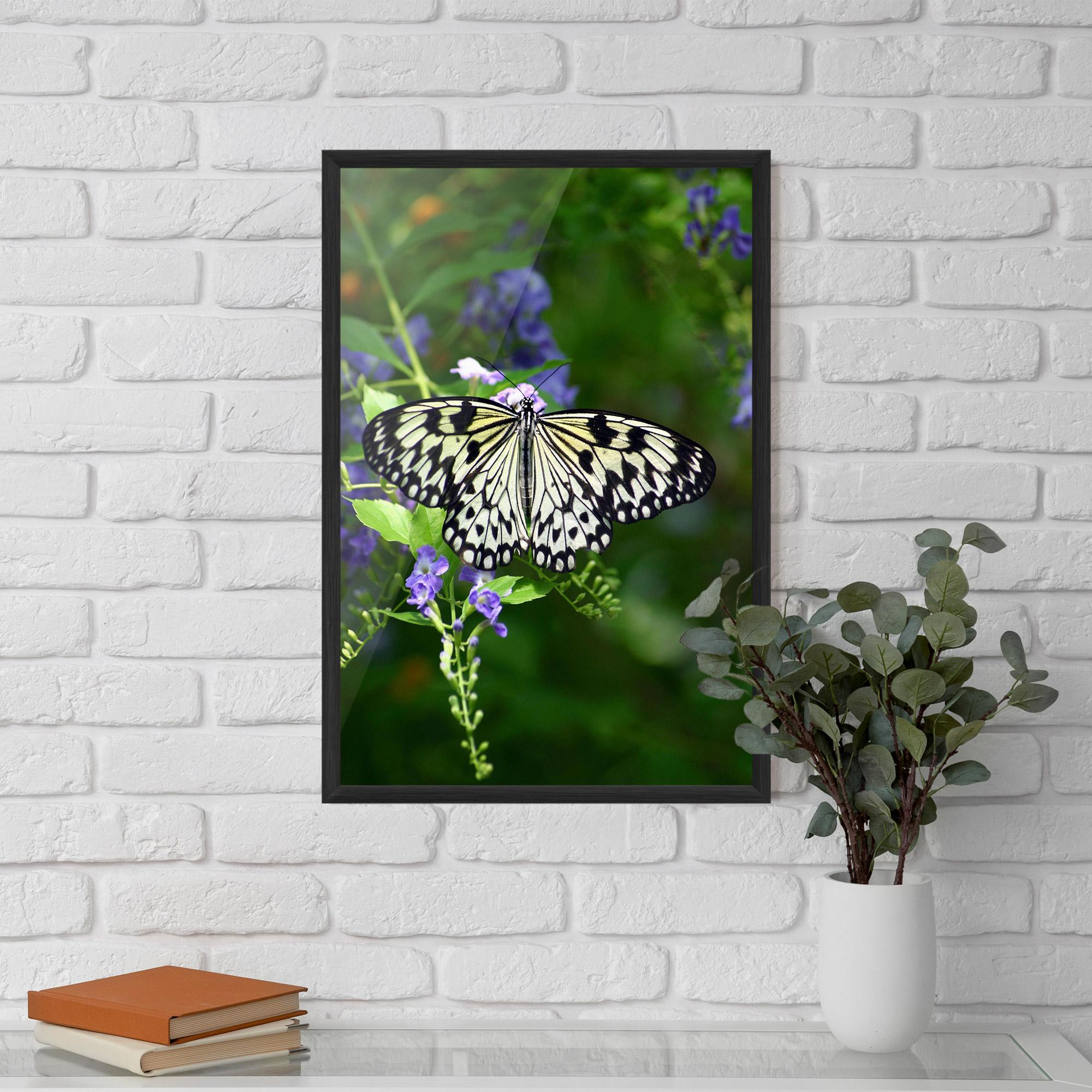 Gerahmte Poster Pretty White Butterfly mockup 5