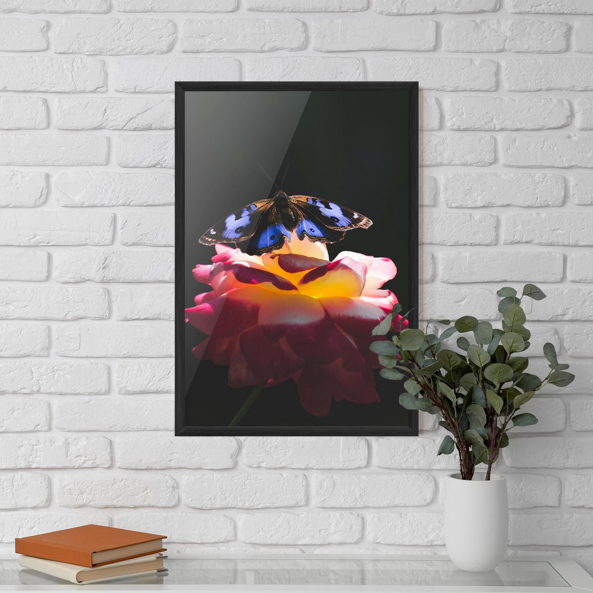Gerahmte Poster Rose Butterfly mockup 5