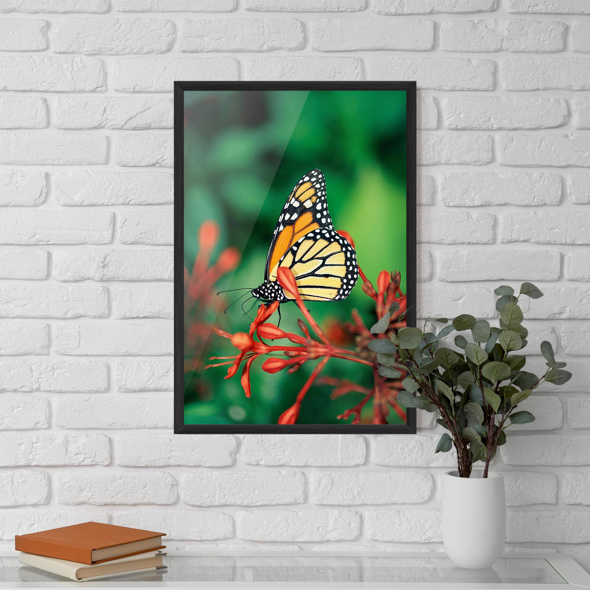 Gerahmte Poster Small Orange Butterfly mockup 5