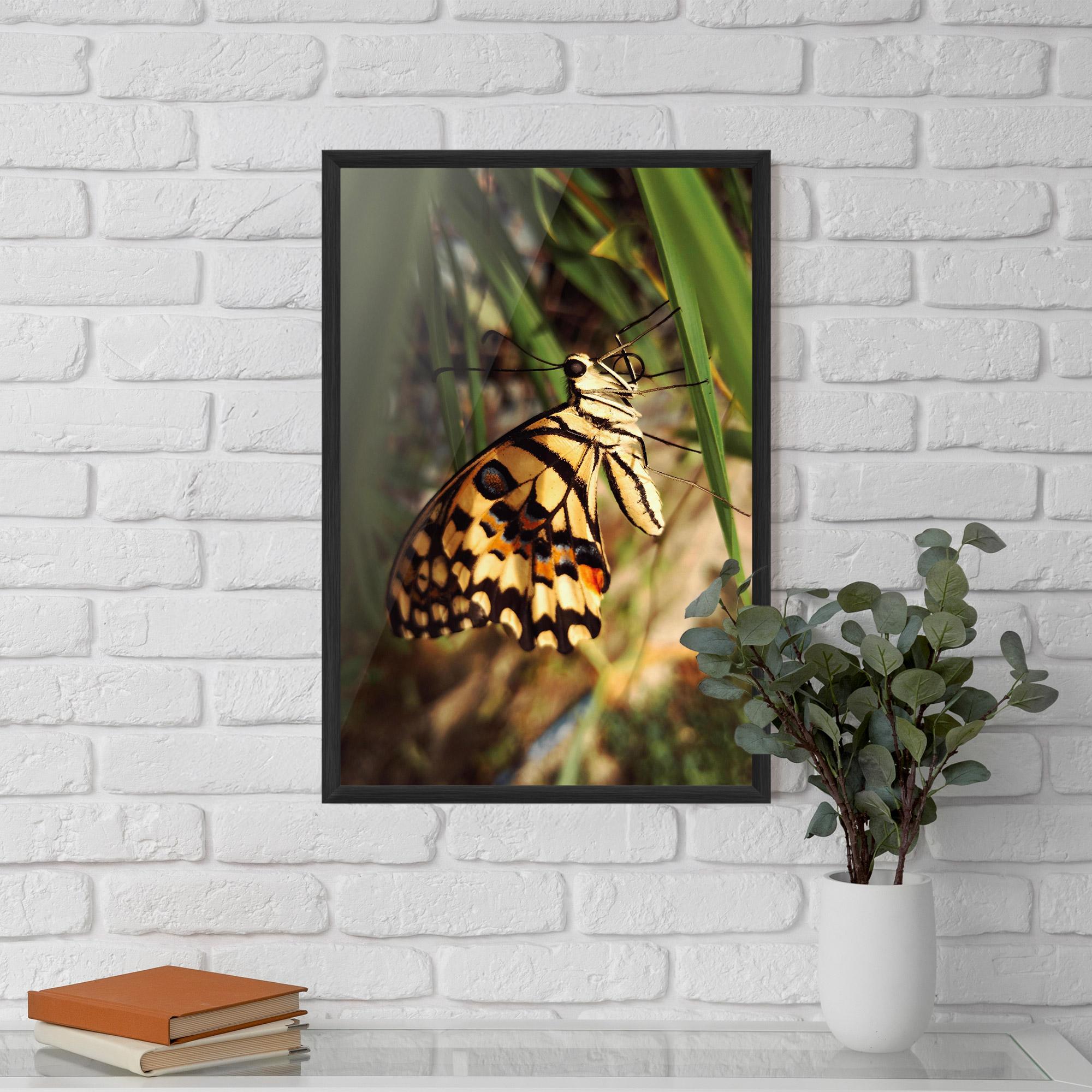 Gerahmte Poster Wild Brown Butterfly mockup 5