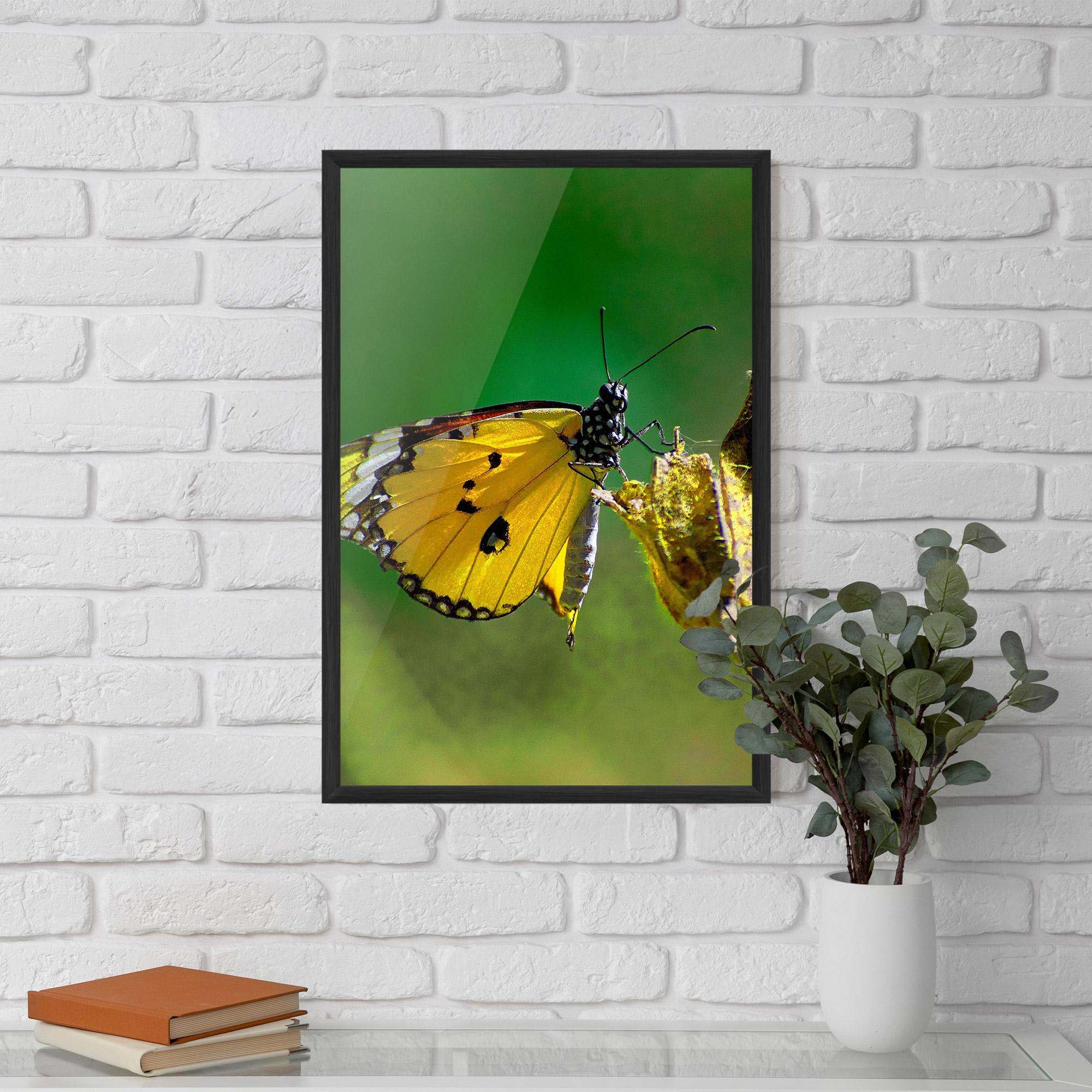 Gerahmte Poster Yellow White Butterfly mockup 5