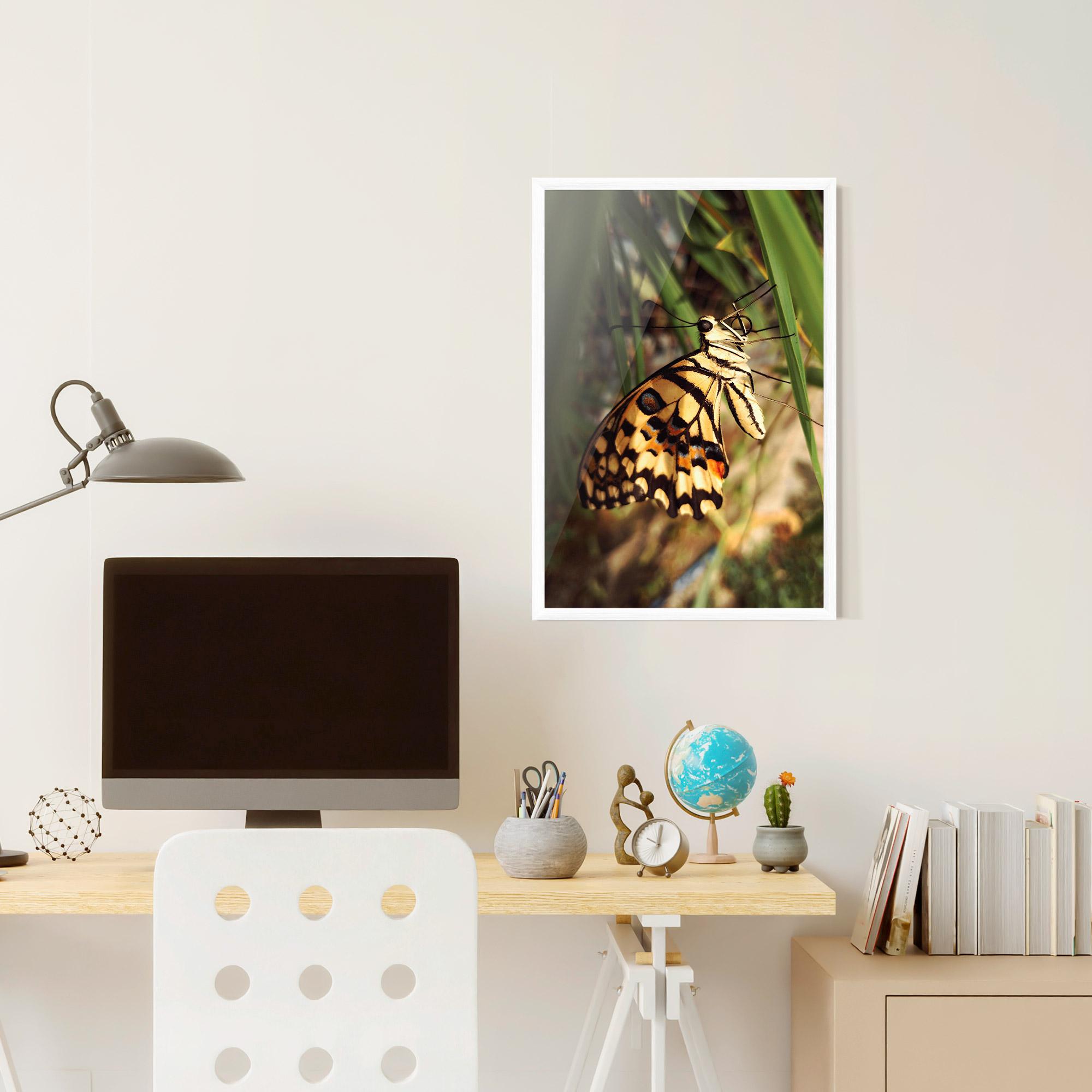 Gerahmte Poster Wild Brown Butterfly mockup 6