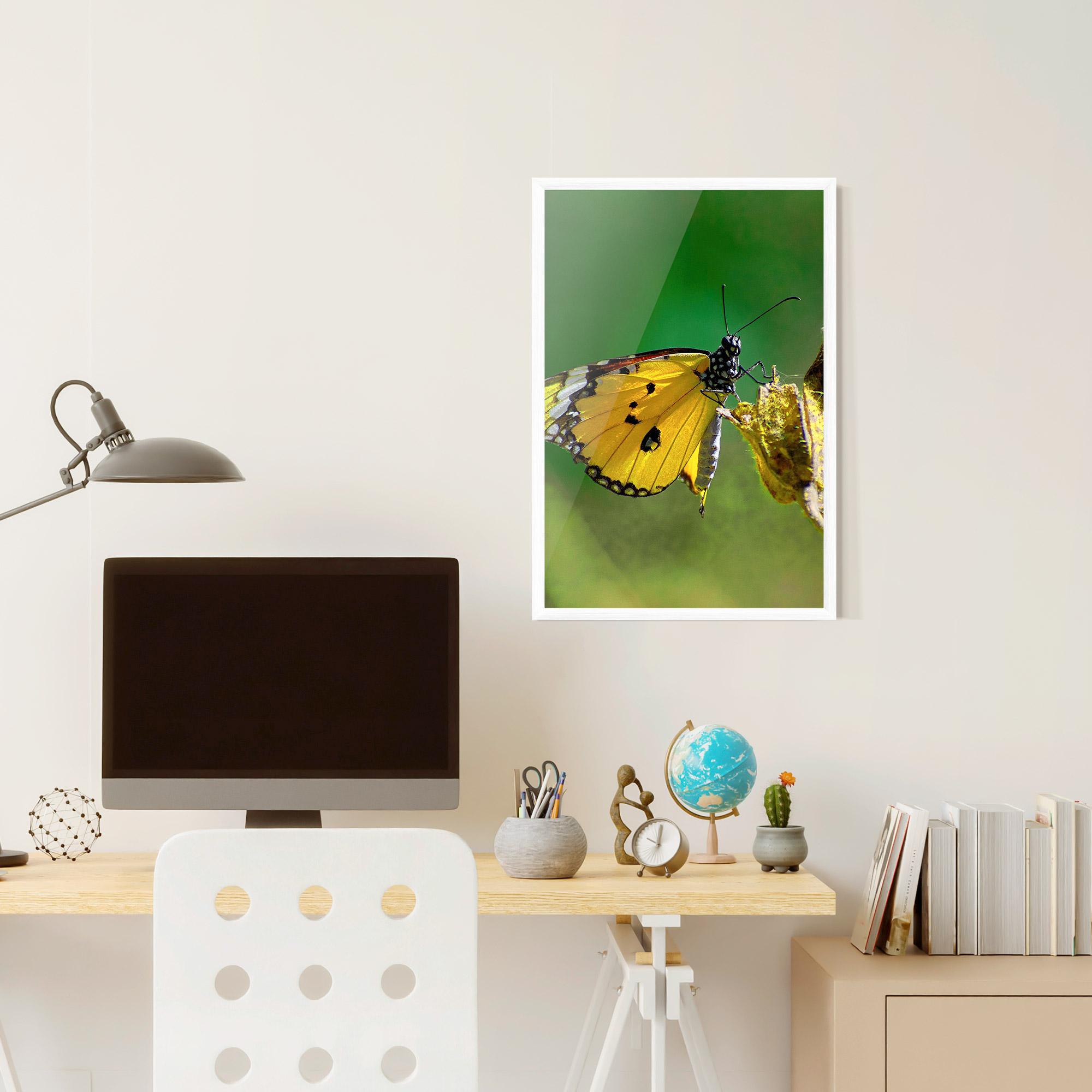 Gerahmte Poster Yellow White Butterfly mockup 6