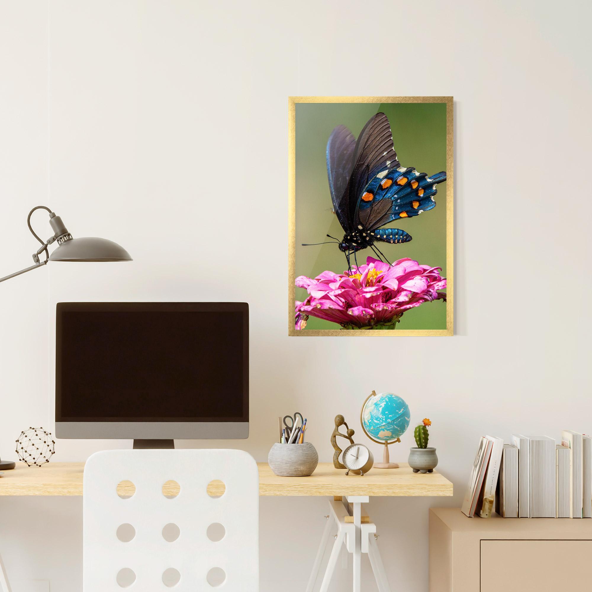 Gerahmte Poster Blue Grey Butterfly mockup 6