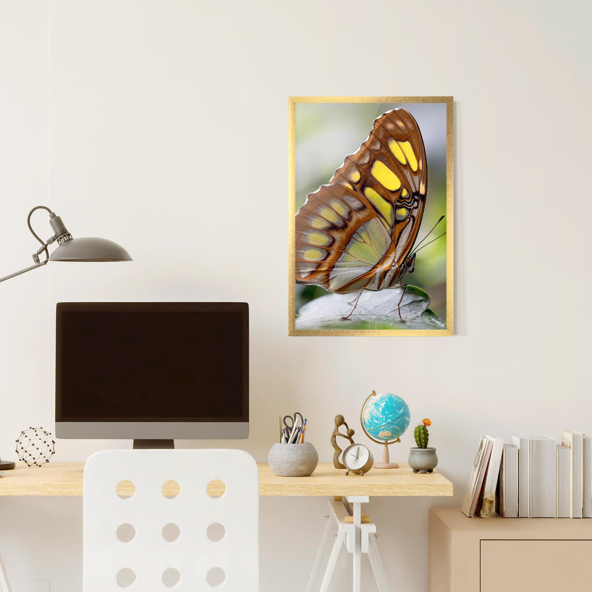 Gerahmte Poster Brown Yellow Butterfly mockup 6