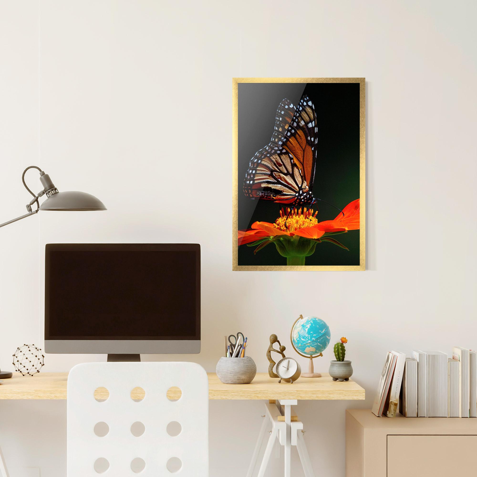 Gerahmte Poster Dark Orange Butterfy mockup 6
