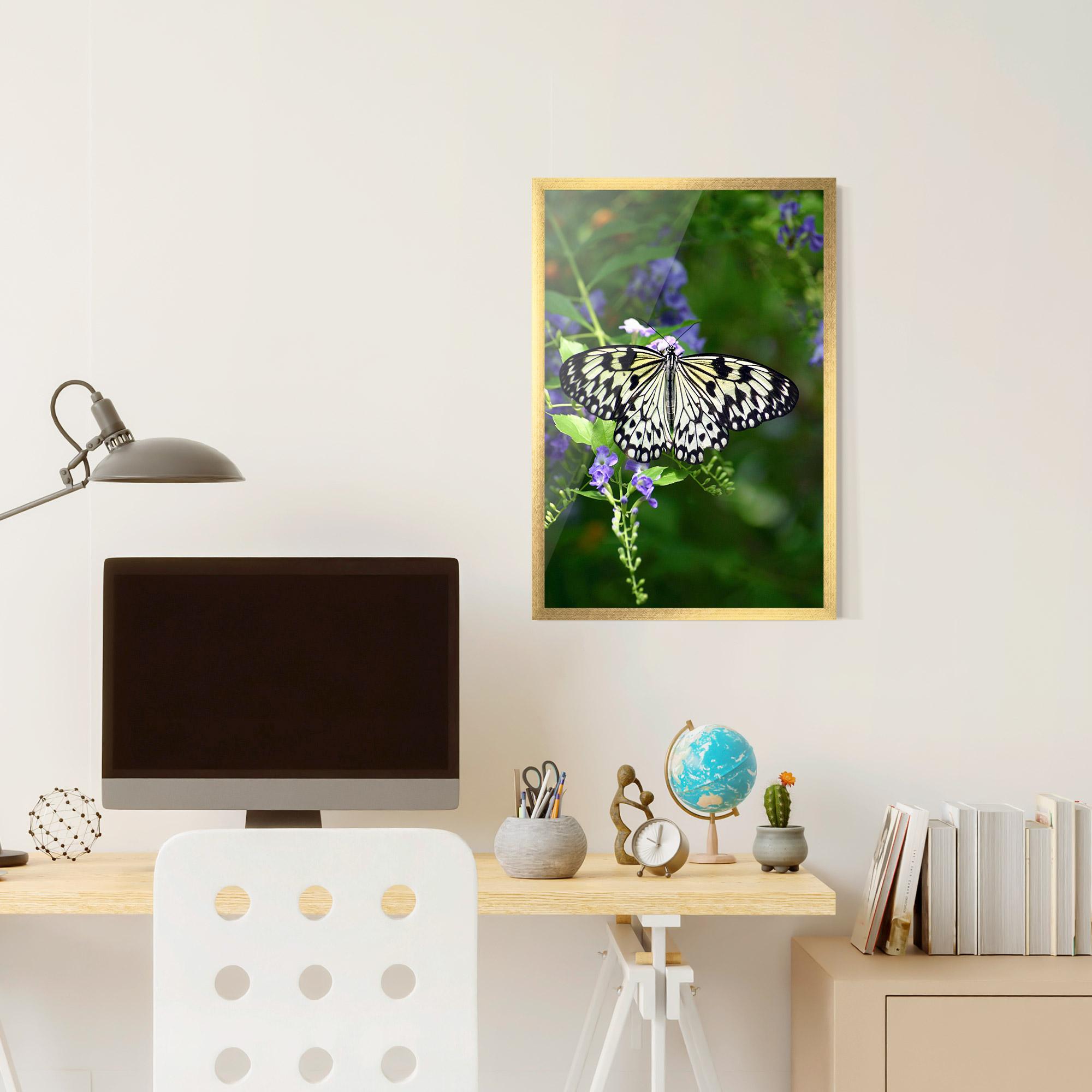 Gerahmte Poster Pretty White Butterfly mockup 6