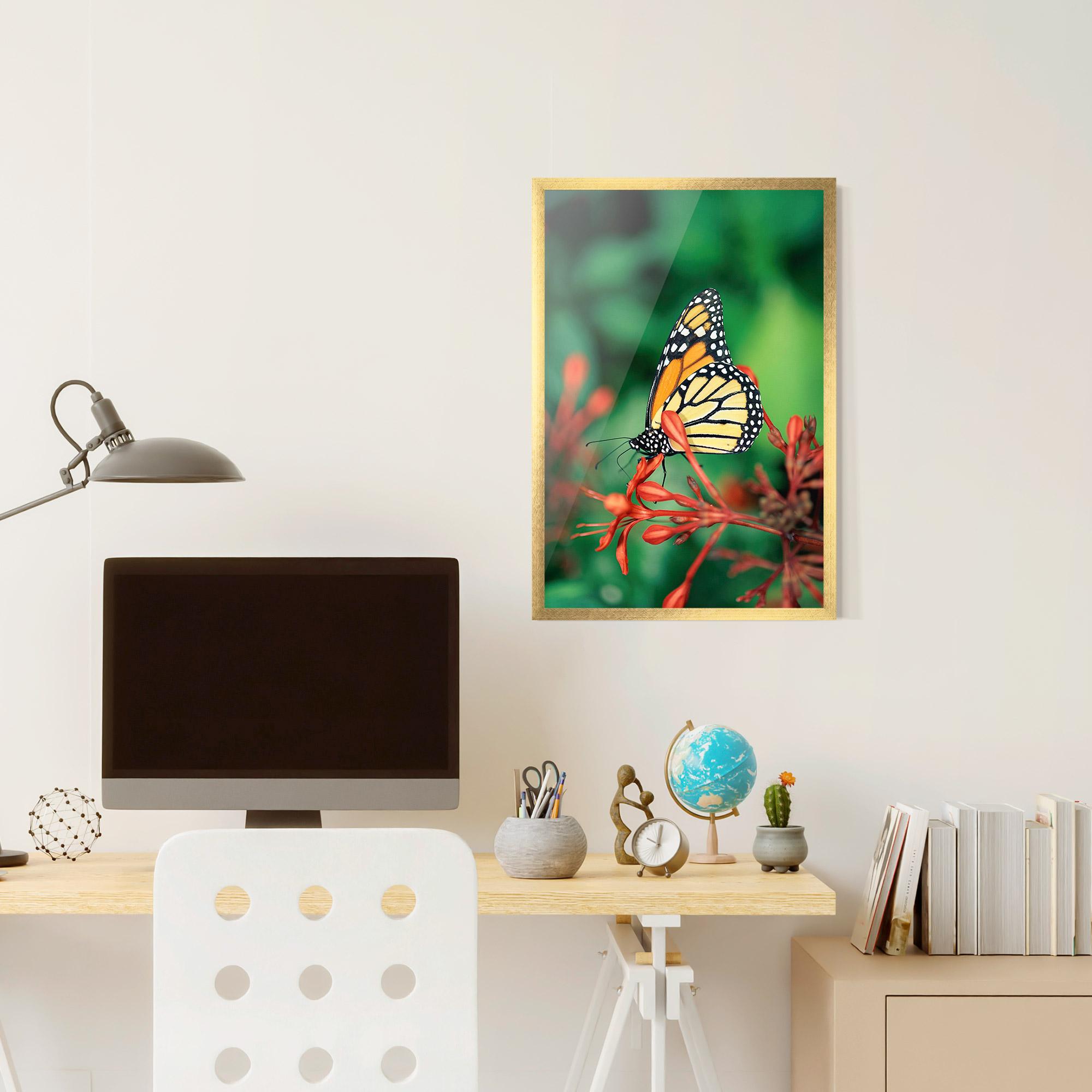 Gerahmte Poster Small Orange Butterfly mockup 6