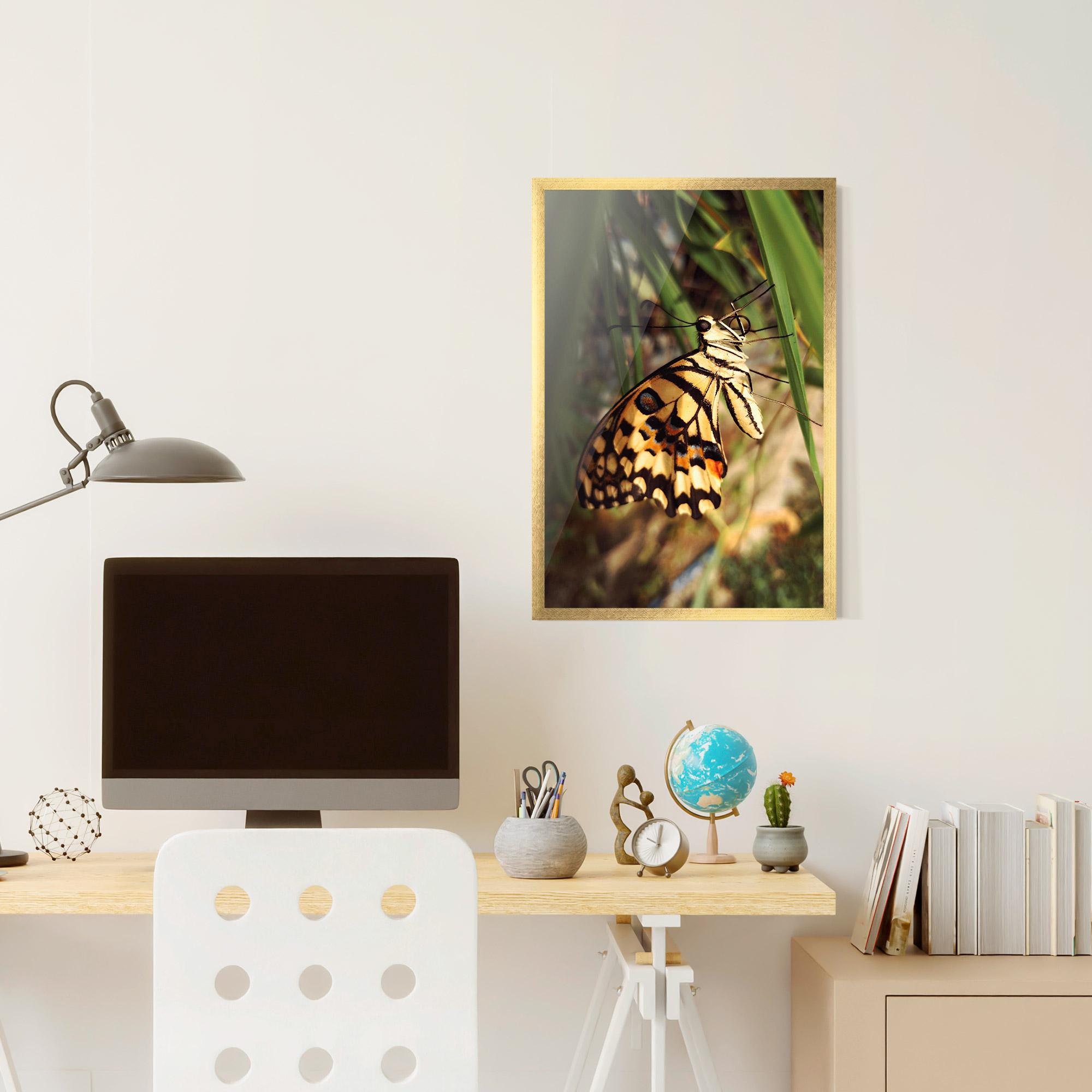 Gerahmte Poster Wild Brown Butterfly mockup 6