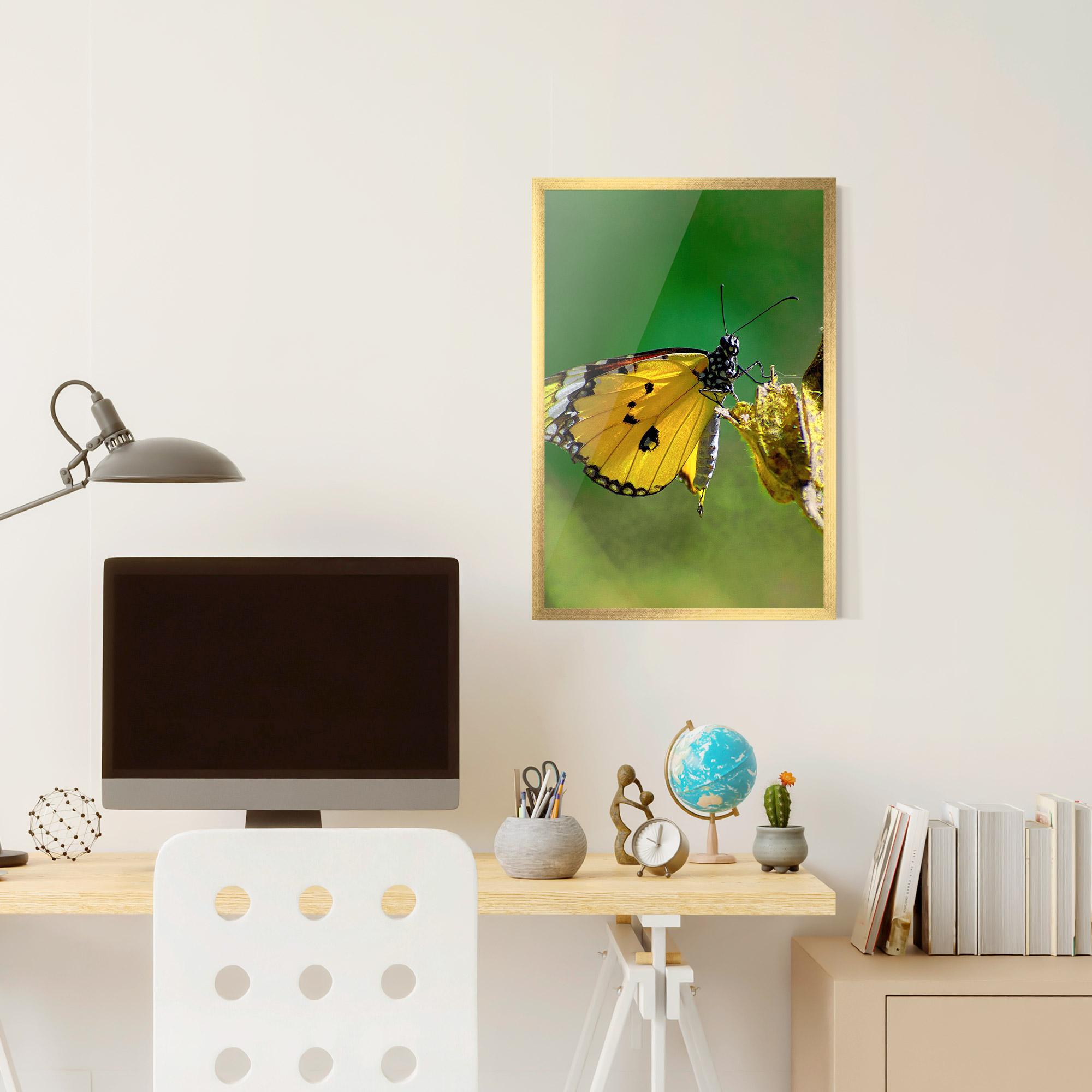 Gerahmte Poster Yellow White Butterfly mockup 6