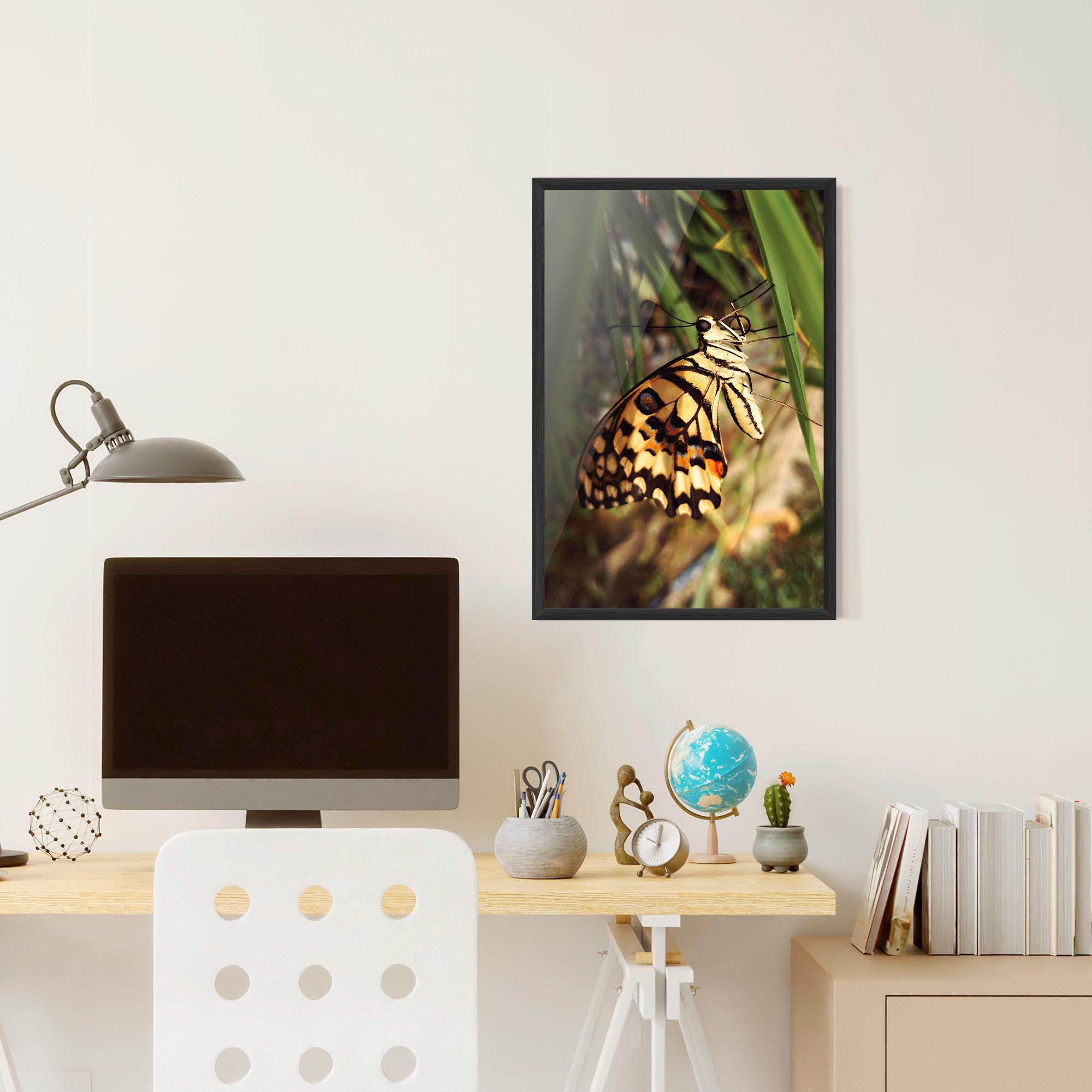 Gerahmte Poster Wild Brown Butterfly mockup 6