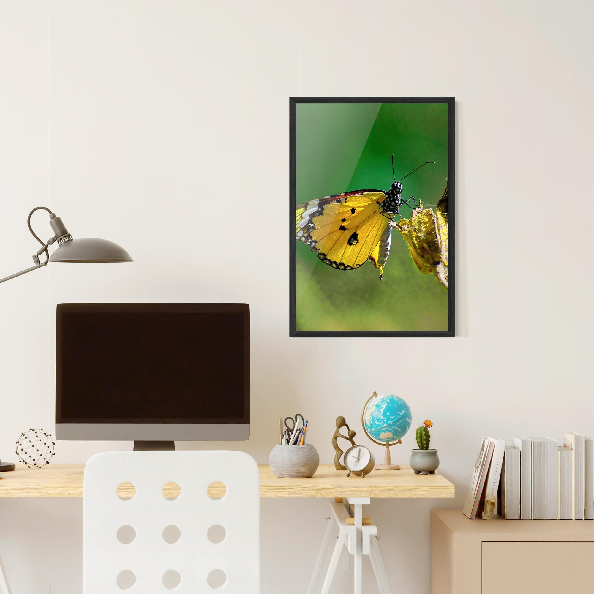 Gerahmte Poster Yellow White Butterfly mockup 6