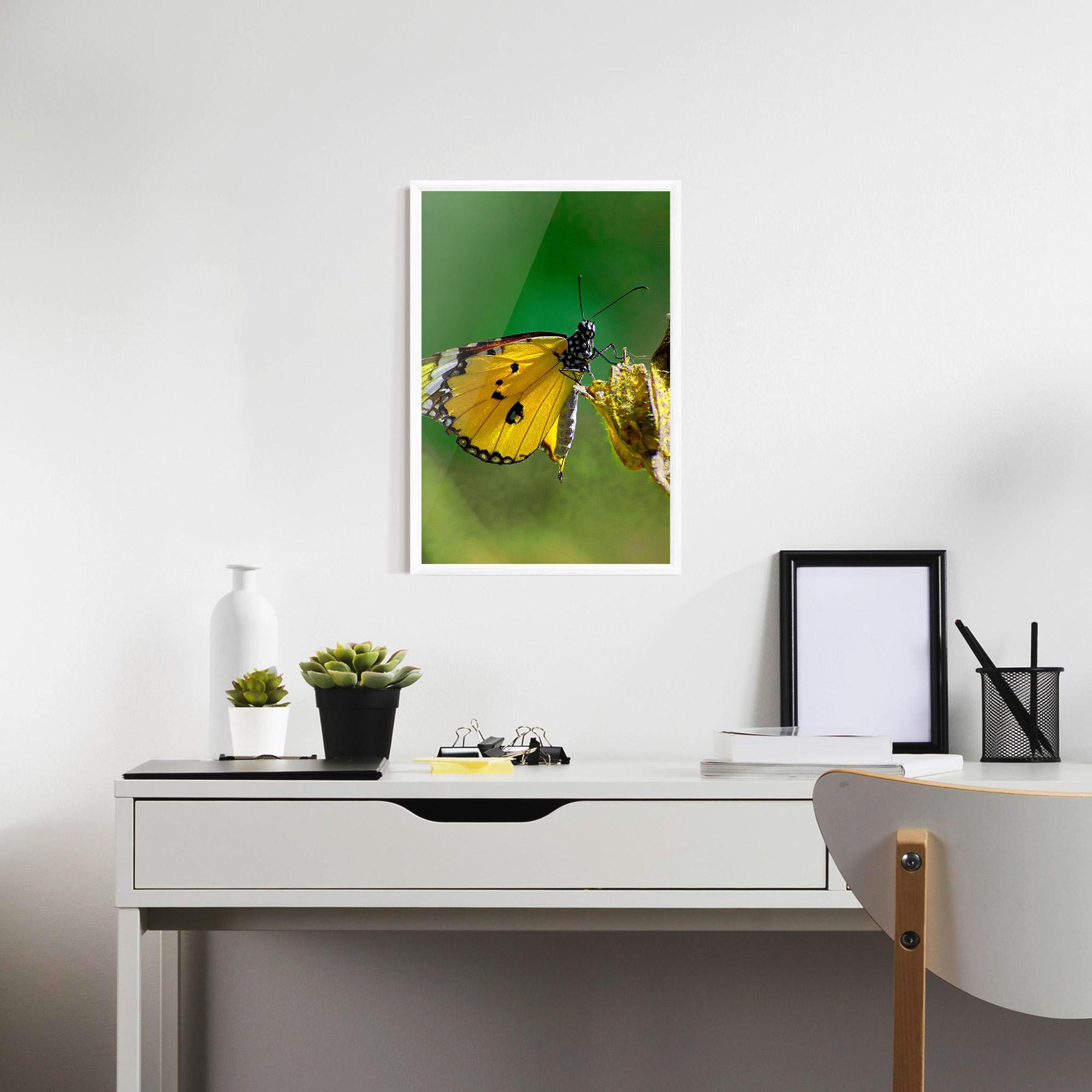Gerahmte Poster Yellow White Butterfly mockup 7