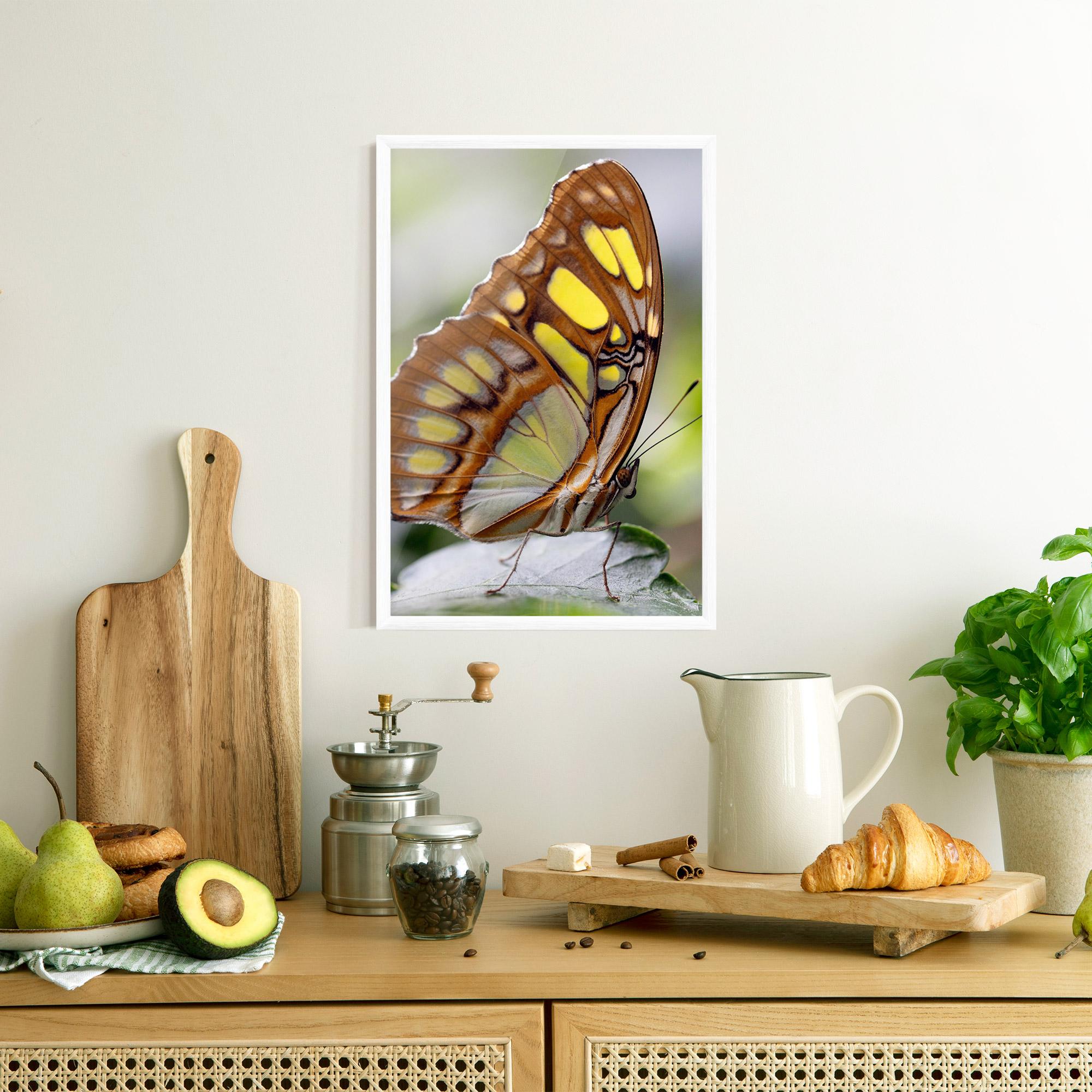 Gerahmte Poster Brown Yellow Butterfly mockup 8