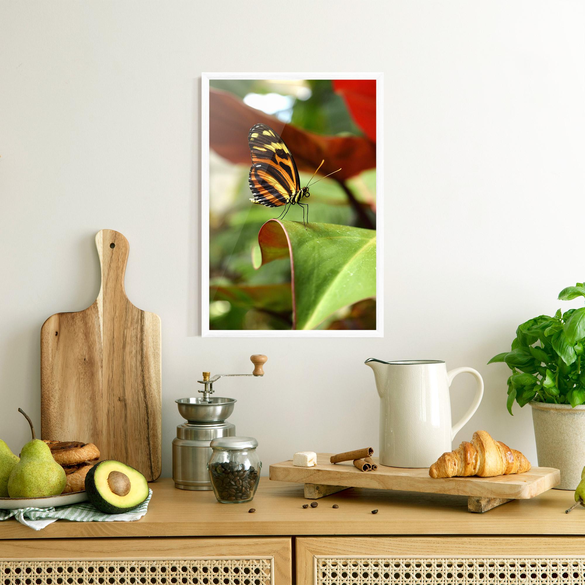 Gerahmte Poster Orange Yellow Butterfly mockup 8