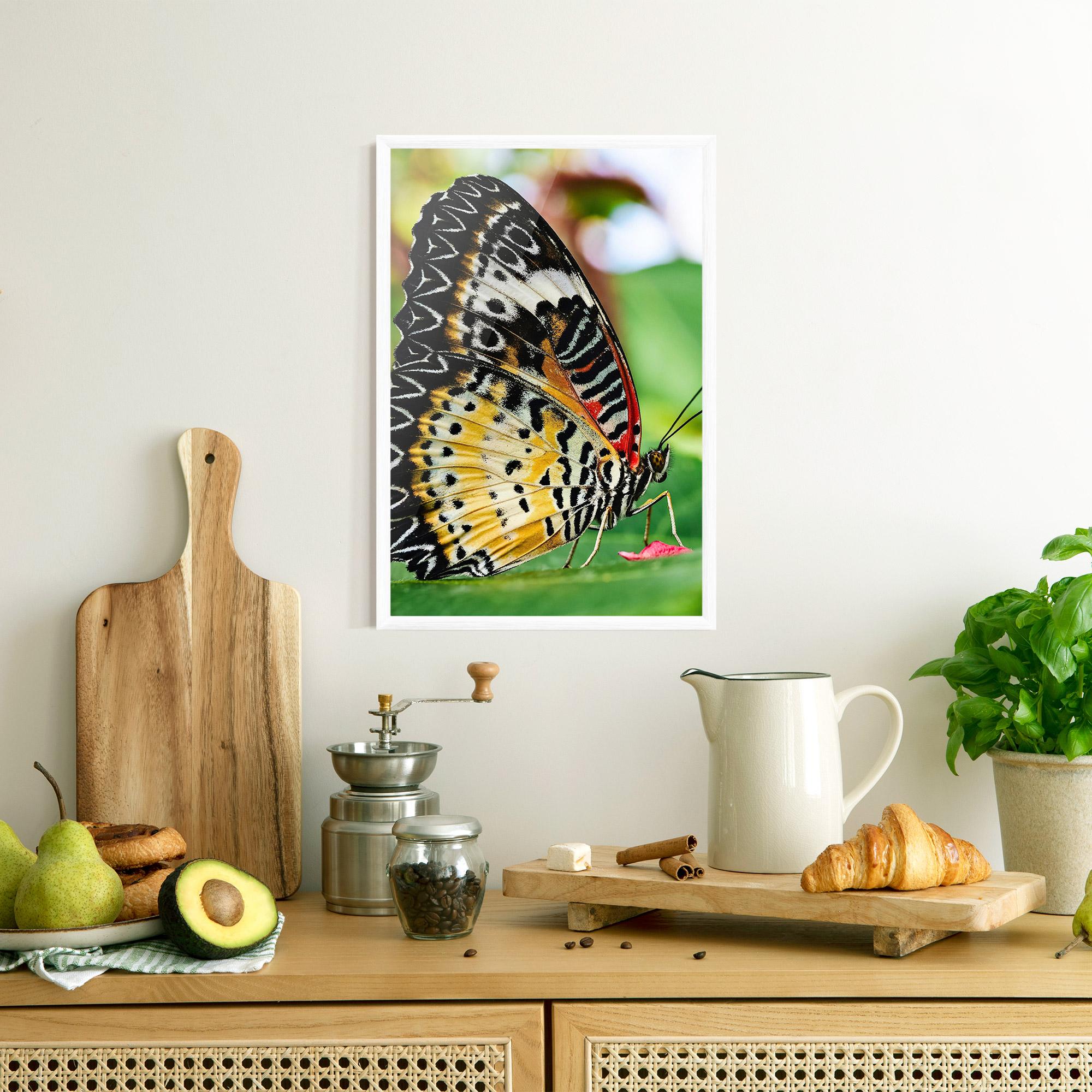 Gerahmte Poster Pretty Colorful Butterfly mockup 8