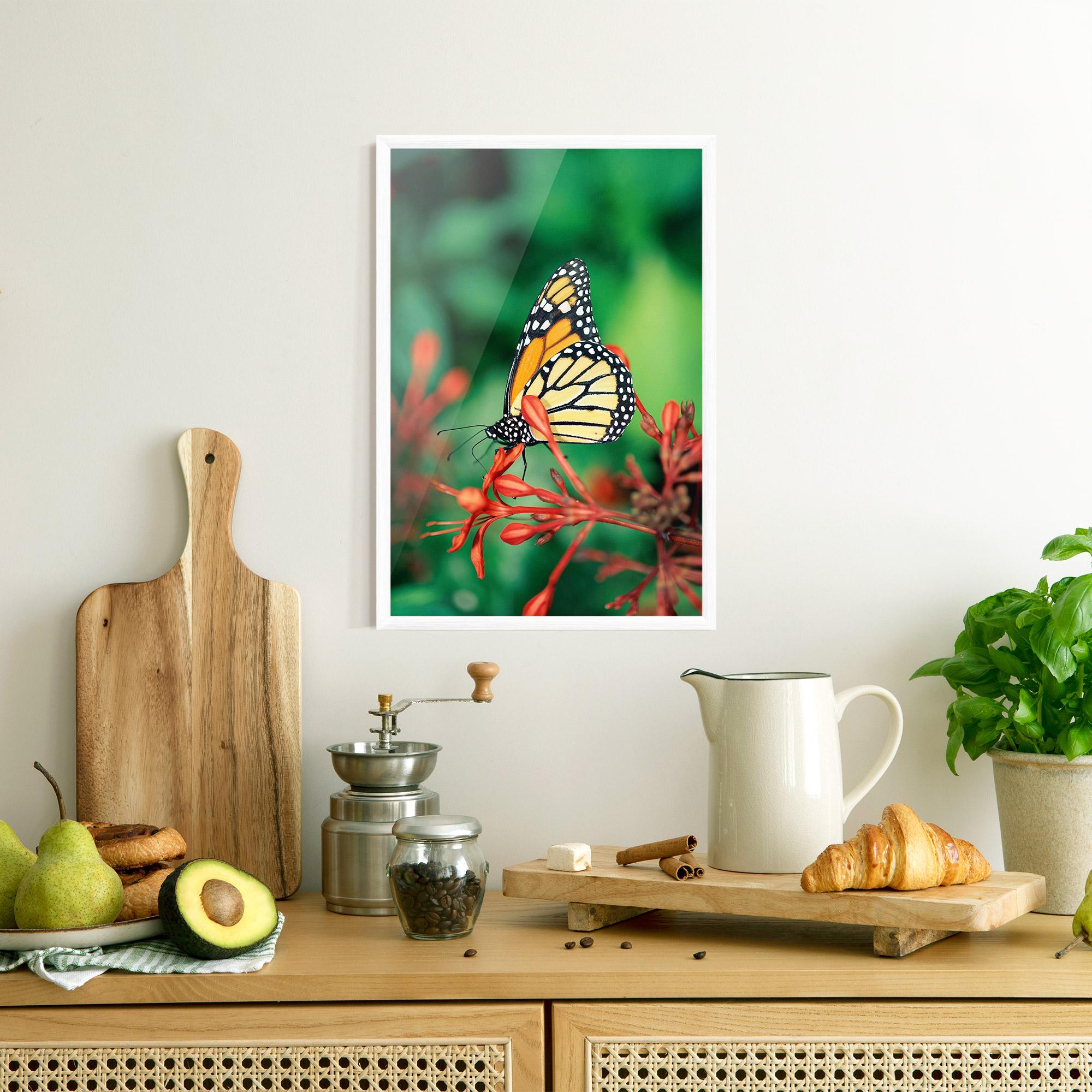 Gerahmte Poster Small Orange Butterfly mockup 8