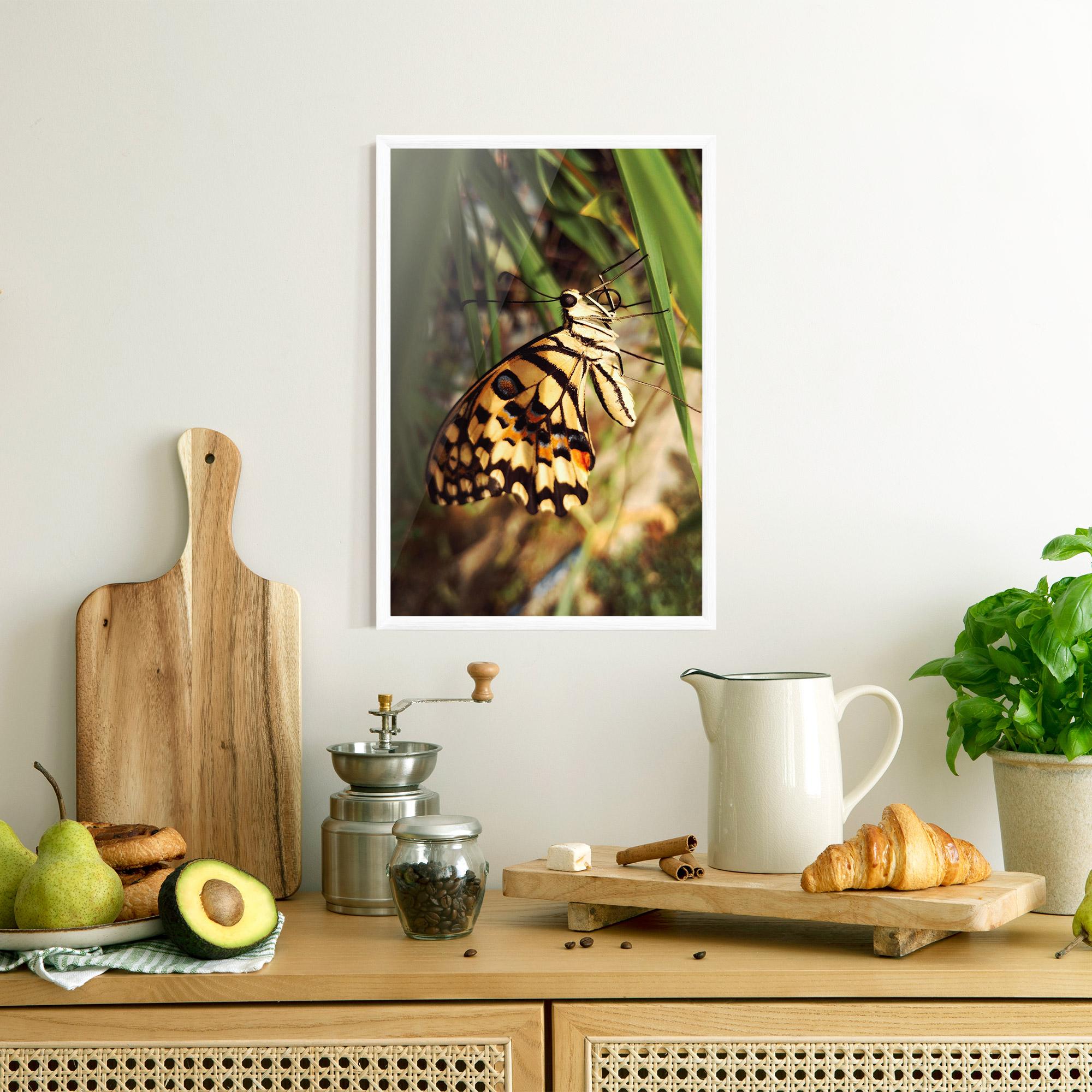 Gerahmte Poster Wild Brown Butterfly mockup 8