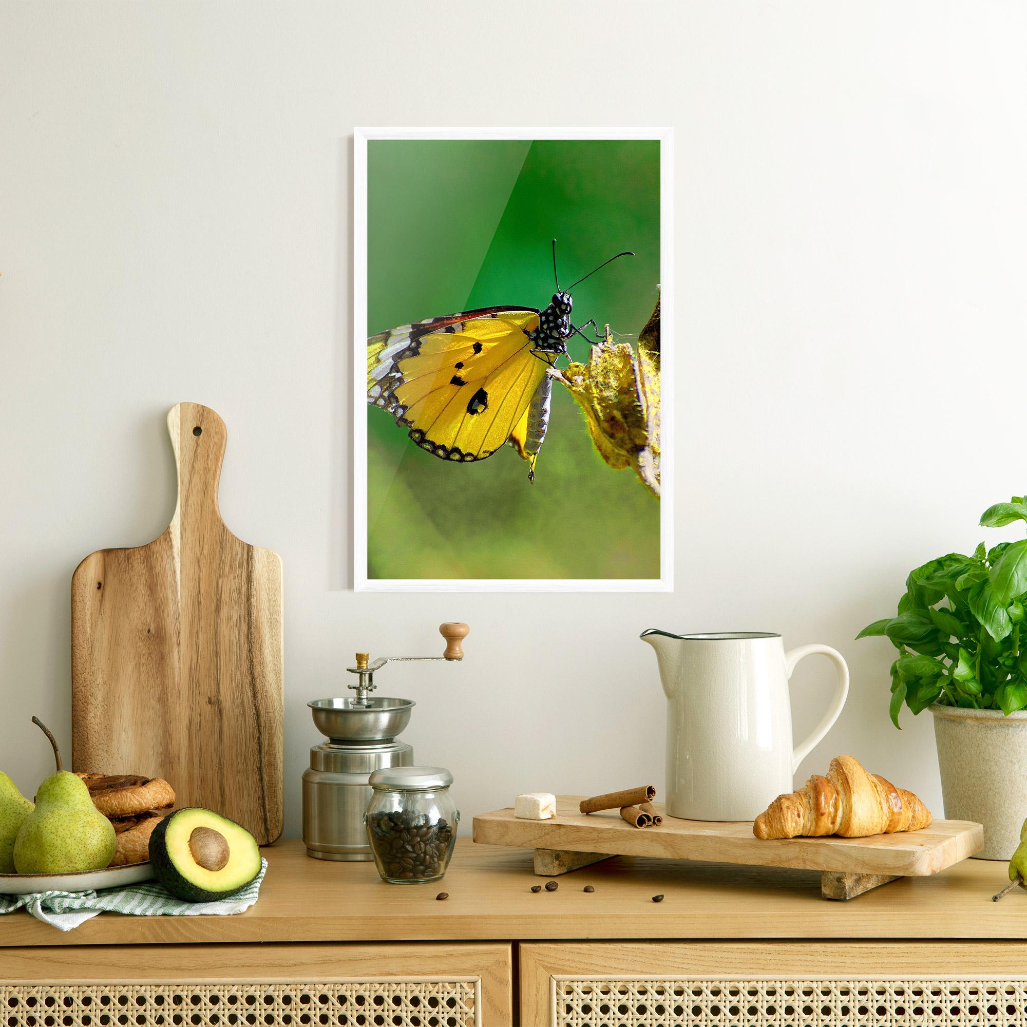 Gerahmte Poster Yellow White Butterfly mockup 8