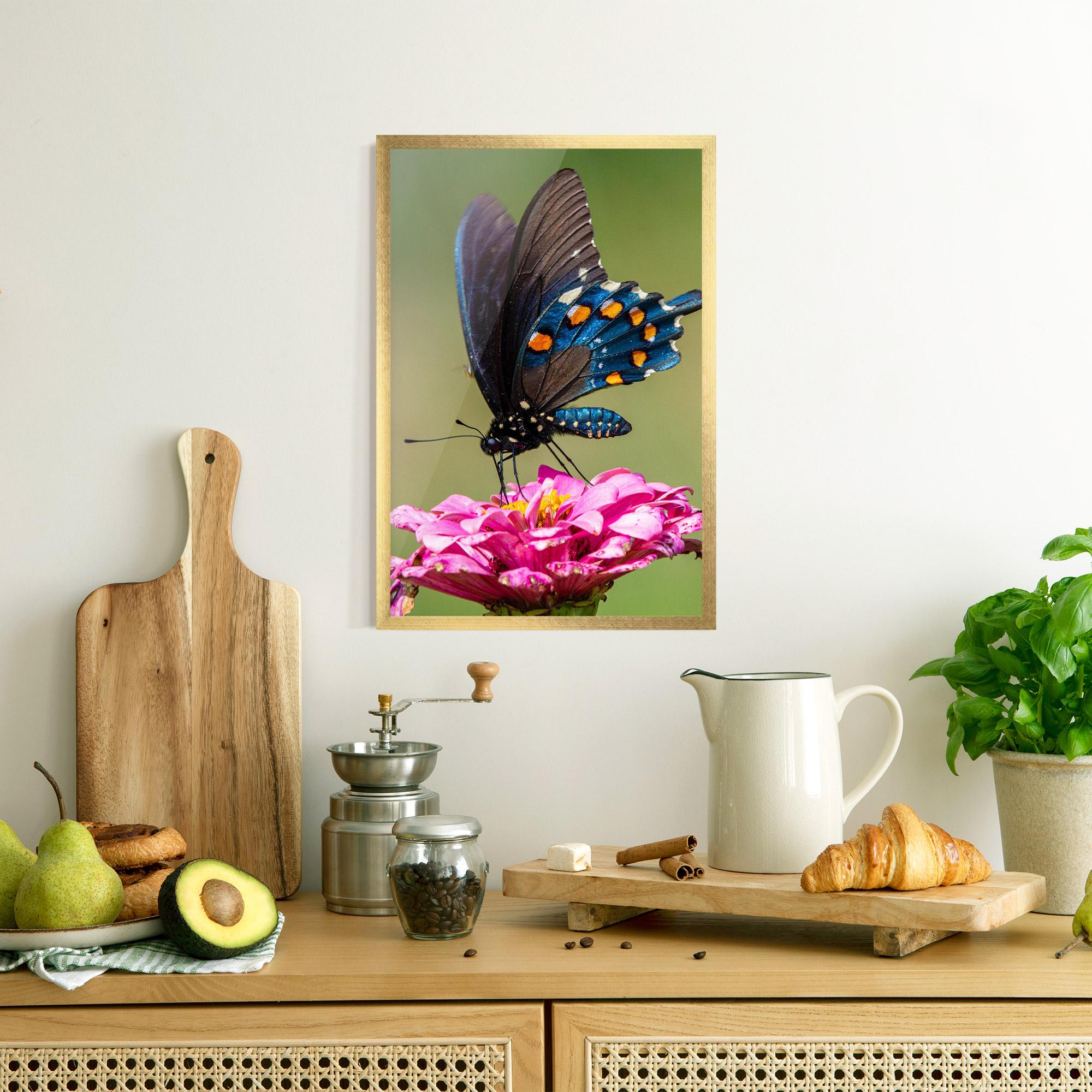 Gerahmte Poster Blue Grey Butterfly mockup 8