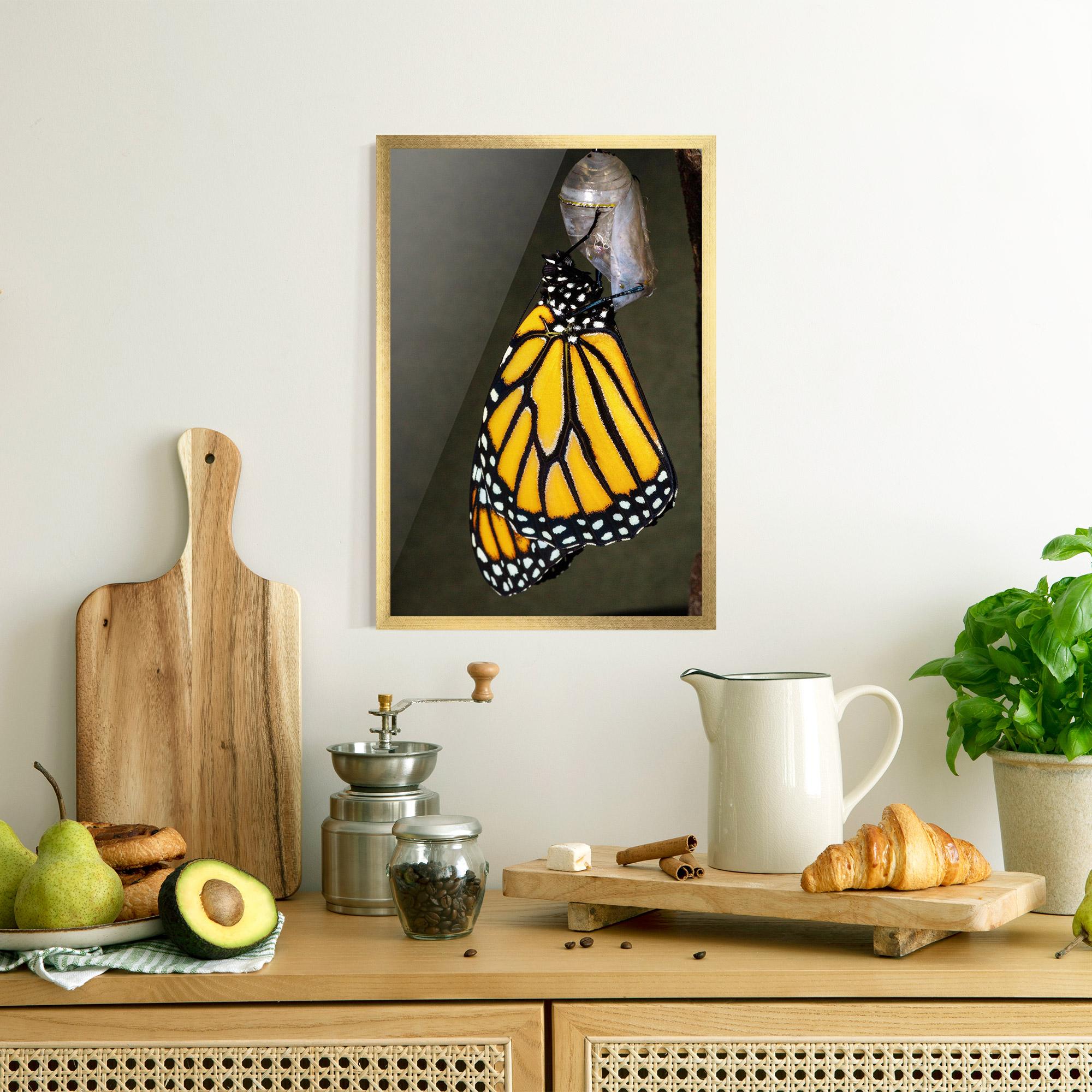 Gerahmte Poster Dark Yellow Butterfly mockup 8