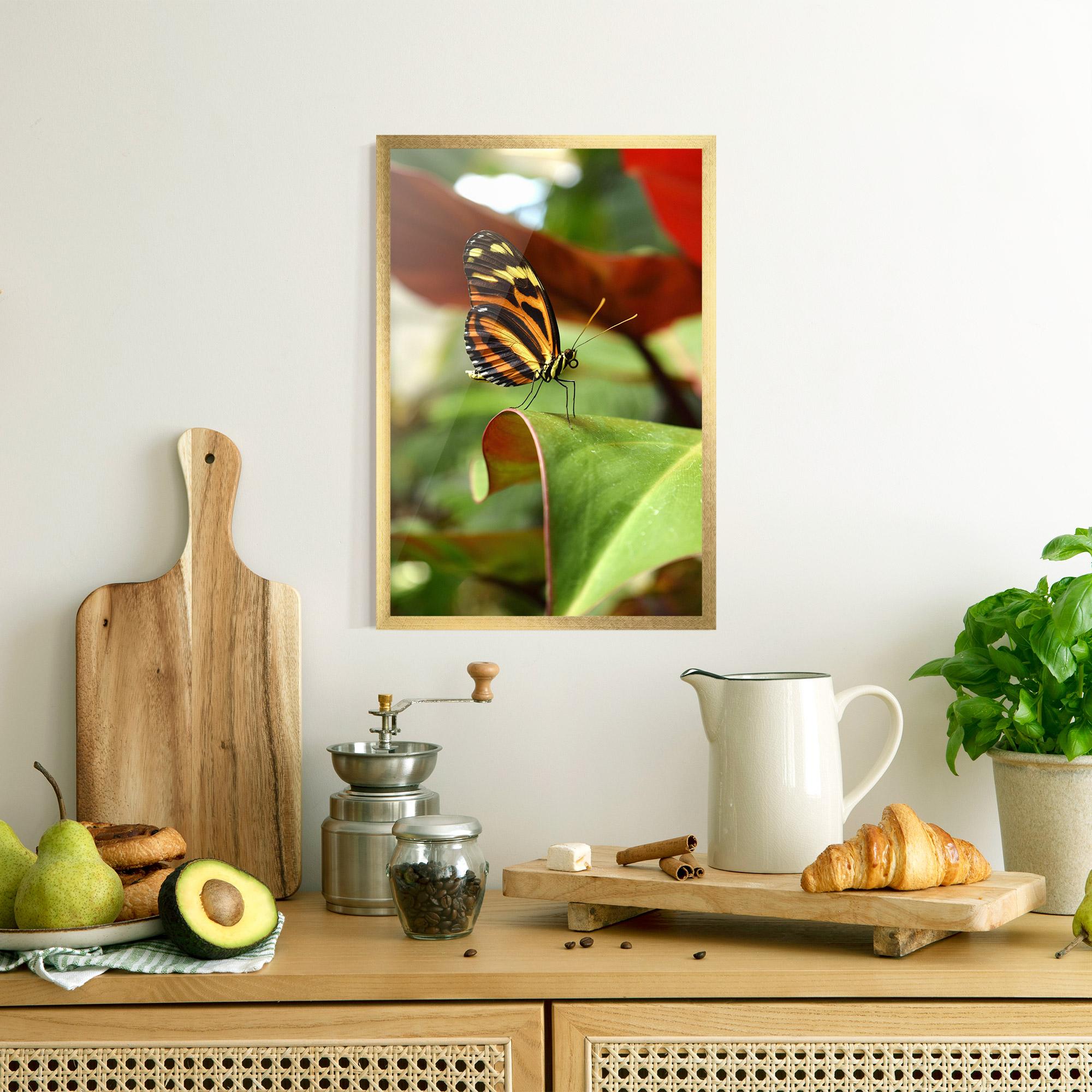Gerahmte Poster Orange Yellow Butterfly mockup 8
