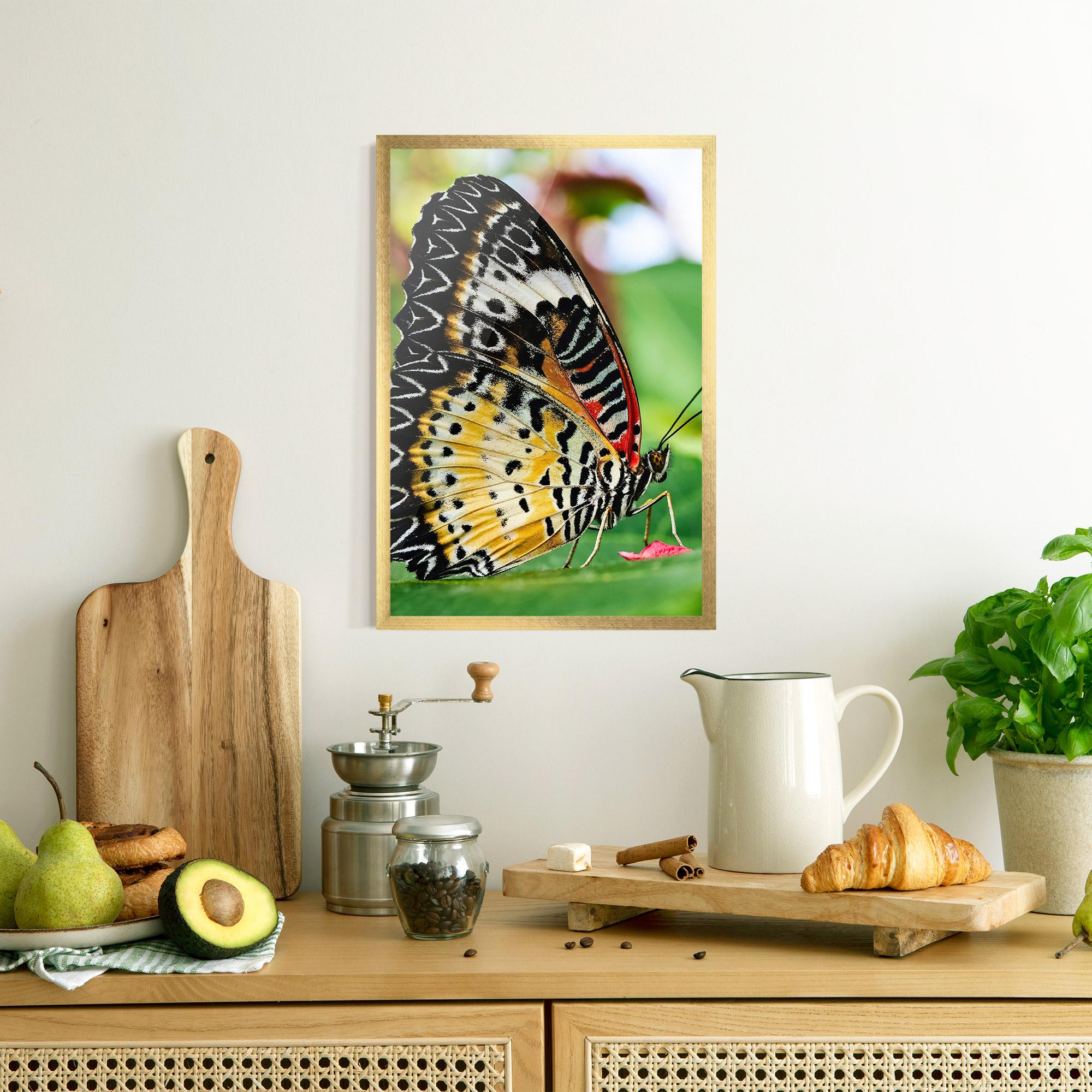 Gerahmte Poster Pretty Colorful Butterfly mockup 8