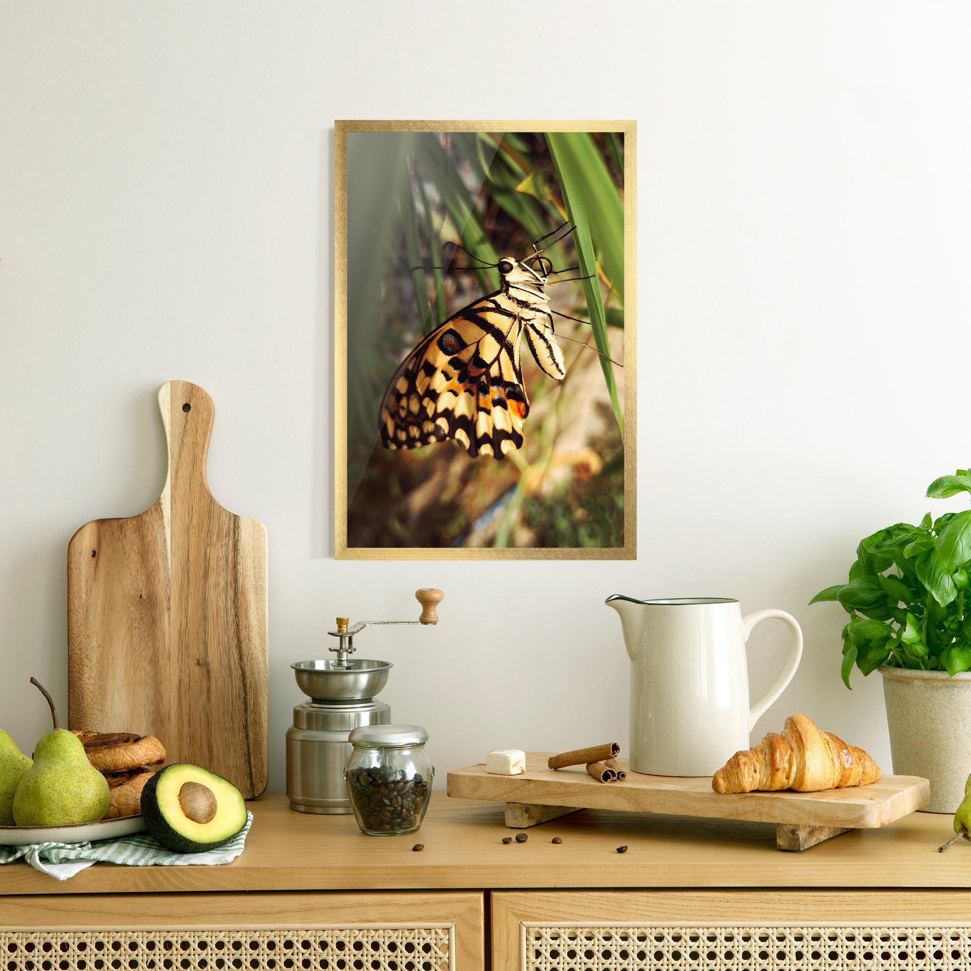 Gerahmte Poster Wild Brown Butterfly mockup 8