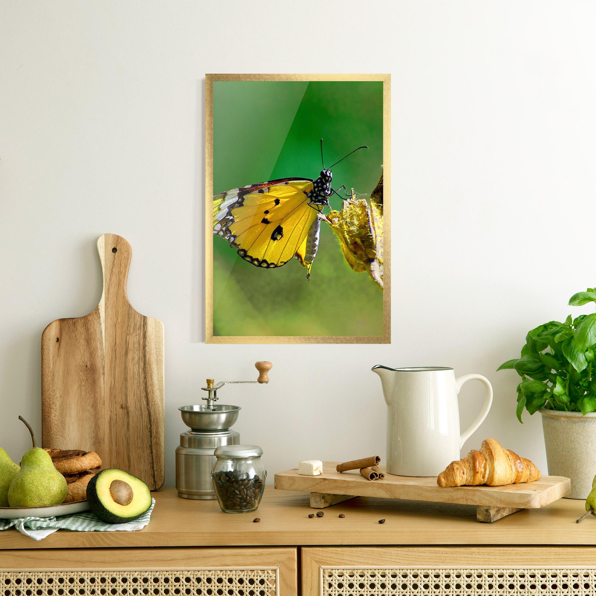 Gerahmte Poster Yellow White Butterfly mockup 8