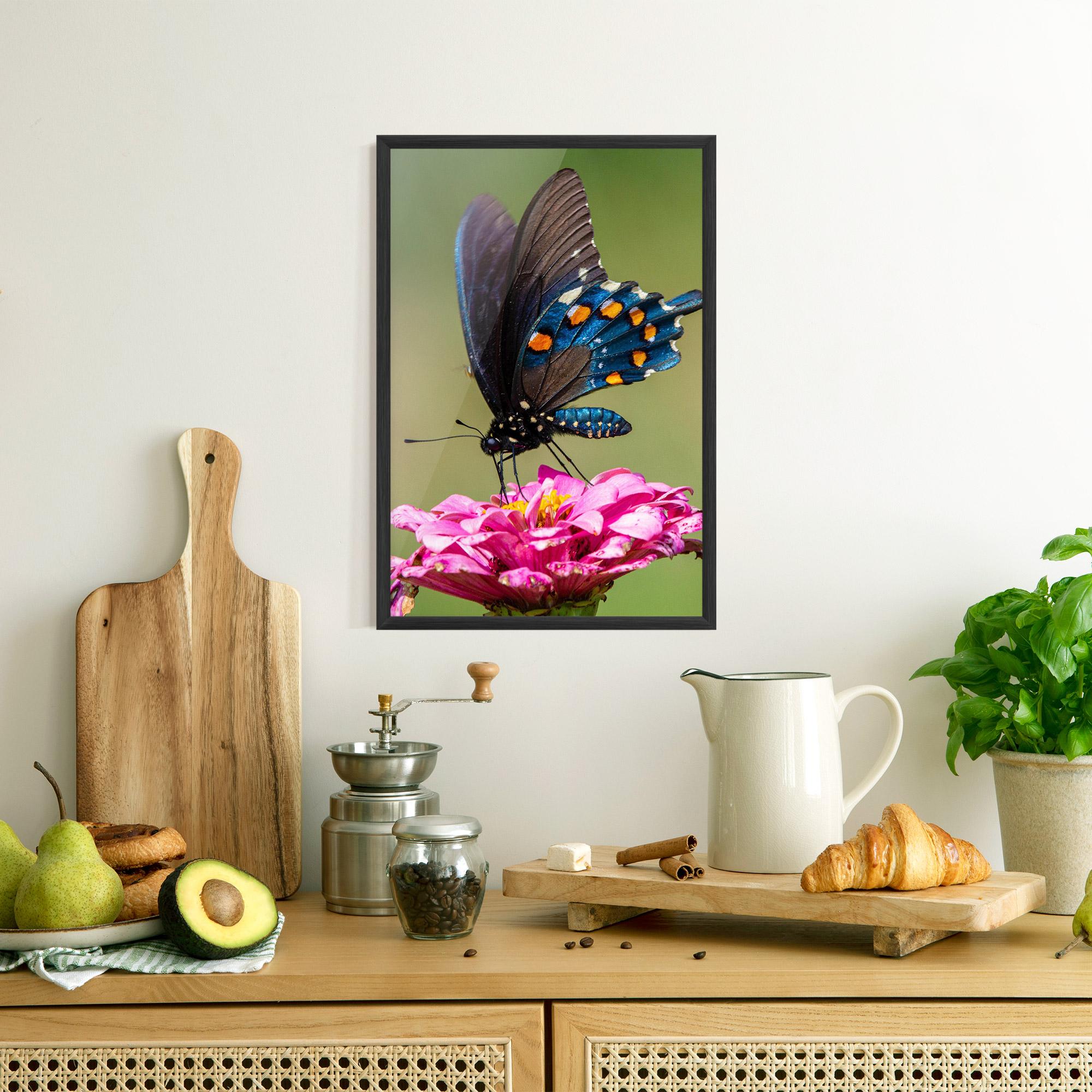 Gerahmte Poster Blue Grey Butterfly mockup 8