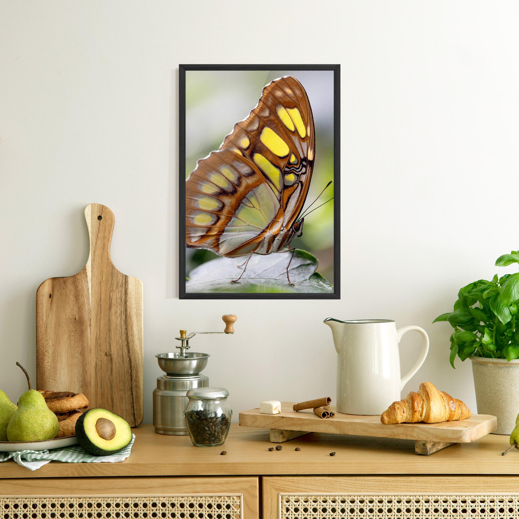 Gerahmte Poster Brown Yellow Butterfly mockup 8