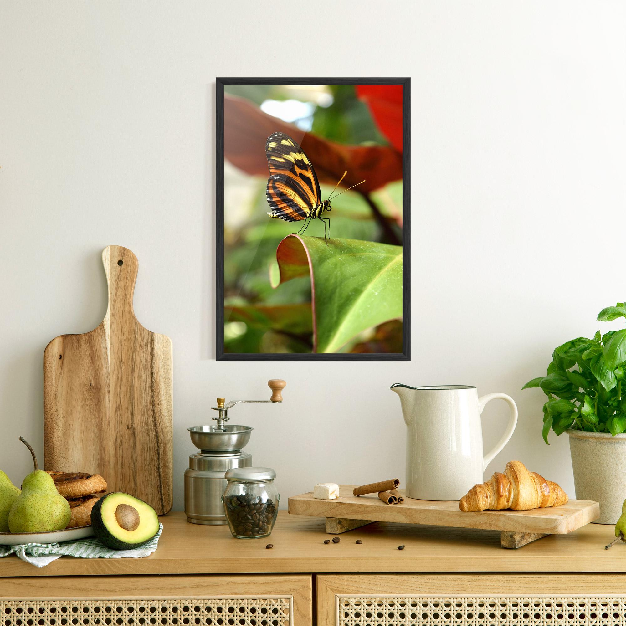 Gerahmte Poster Orange Yellow Butterfly mockup 8