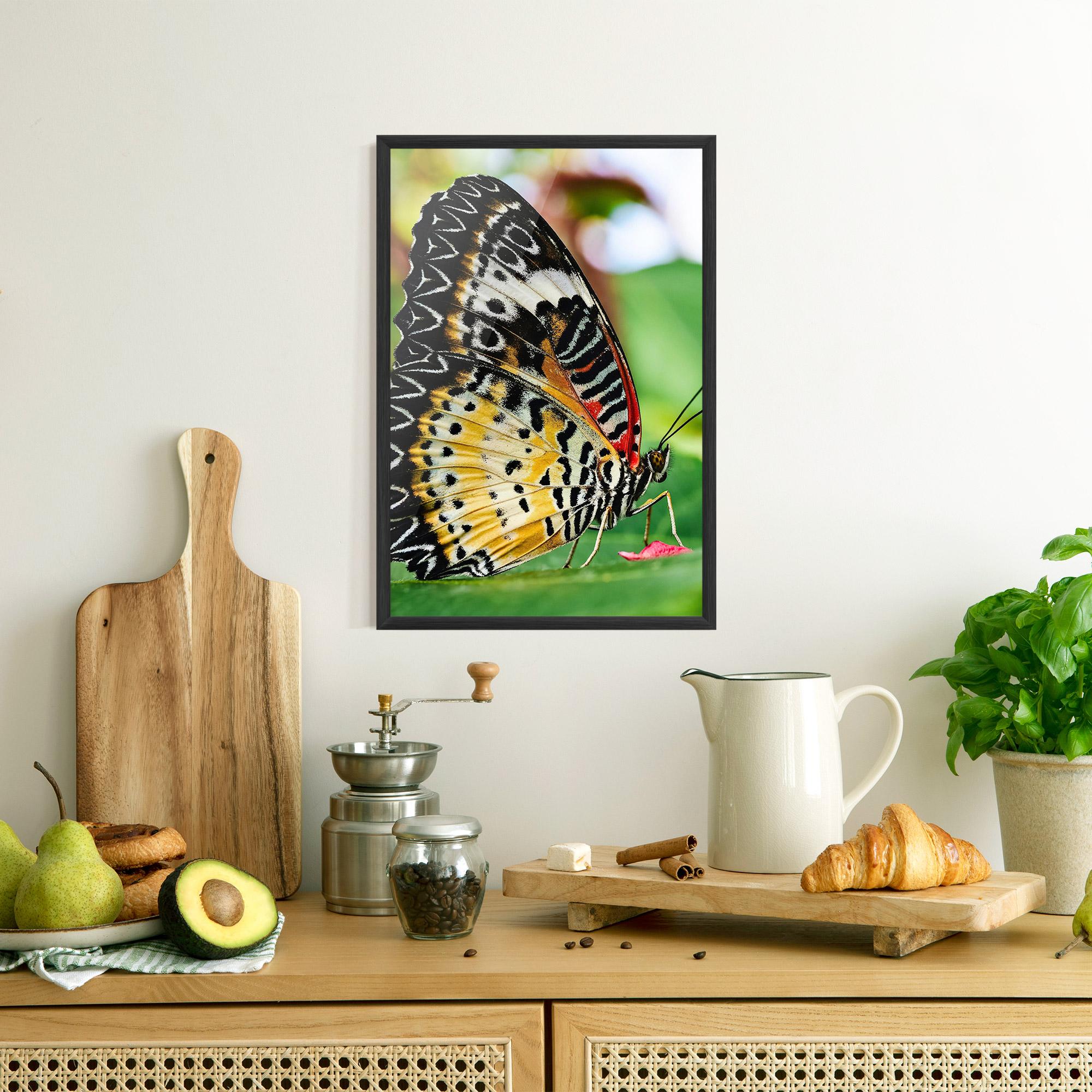Gerahmte Poster Pretty Colorful Butterfly mockup 8