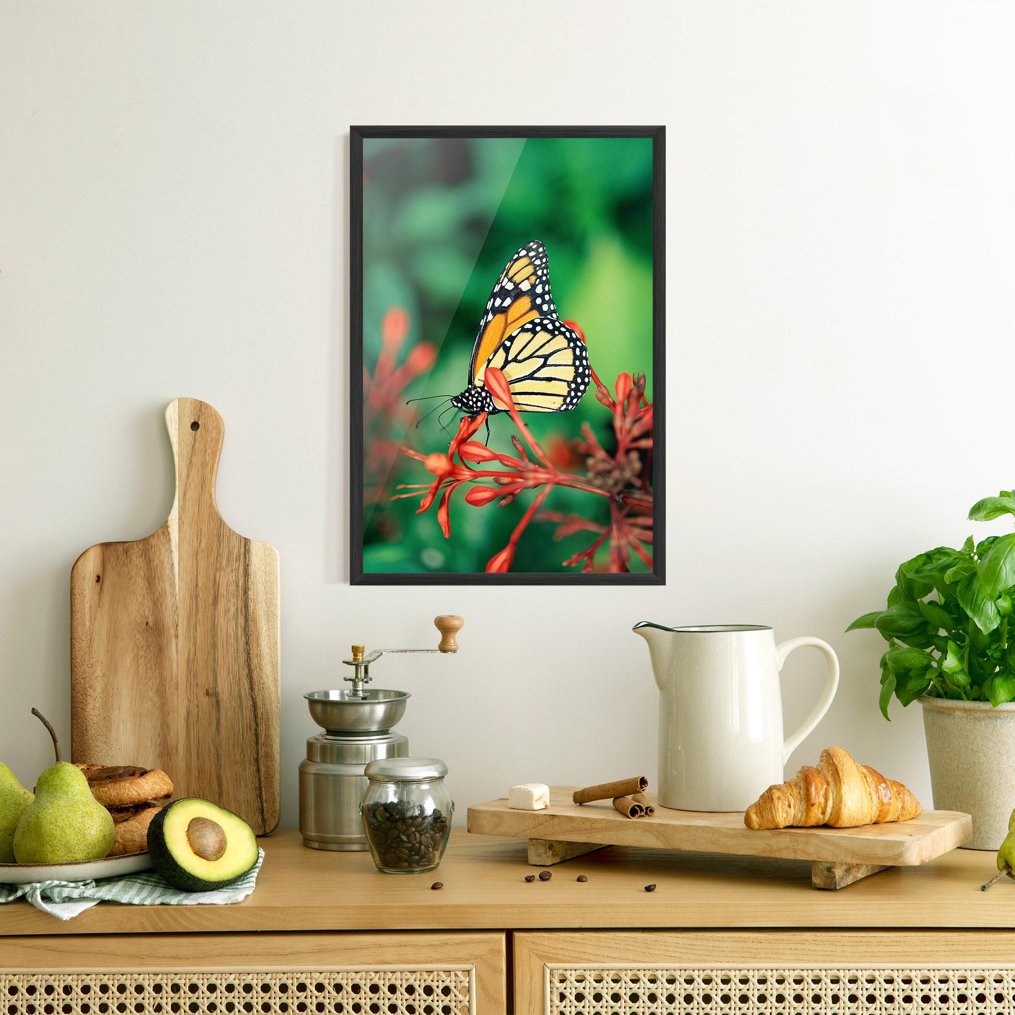 Gerahmte Poster Small Orange Butterfly mockup 8