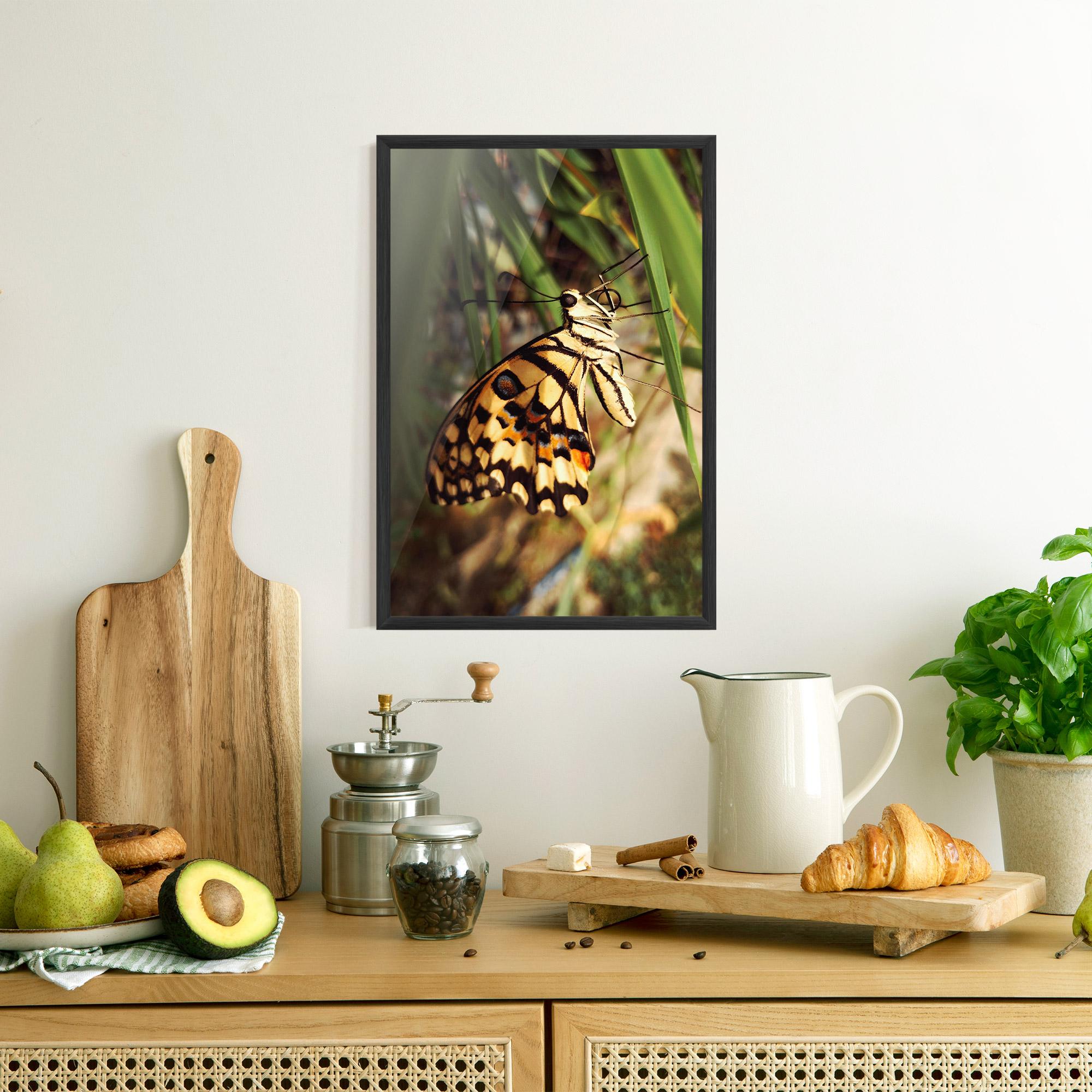Gerahmte Poster Wild Brown Butterfly mockup 8