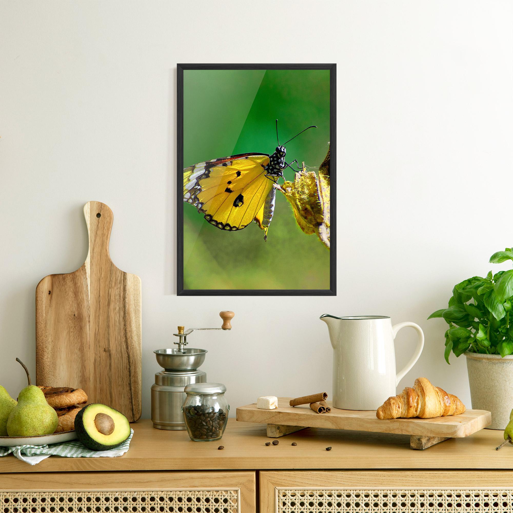 Gerahmte Poster Yellow White Butterfly mockup 8