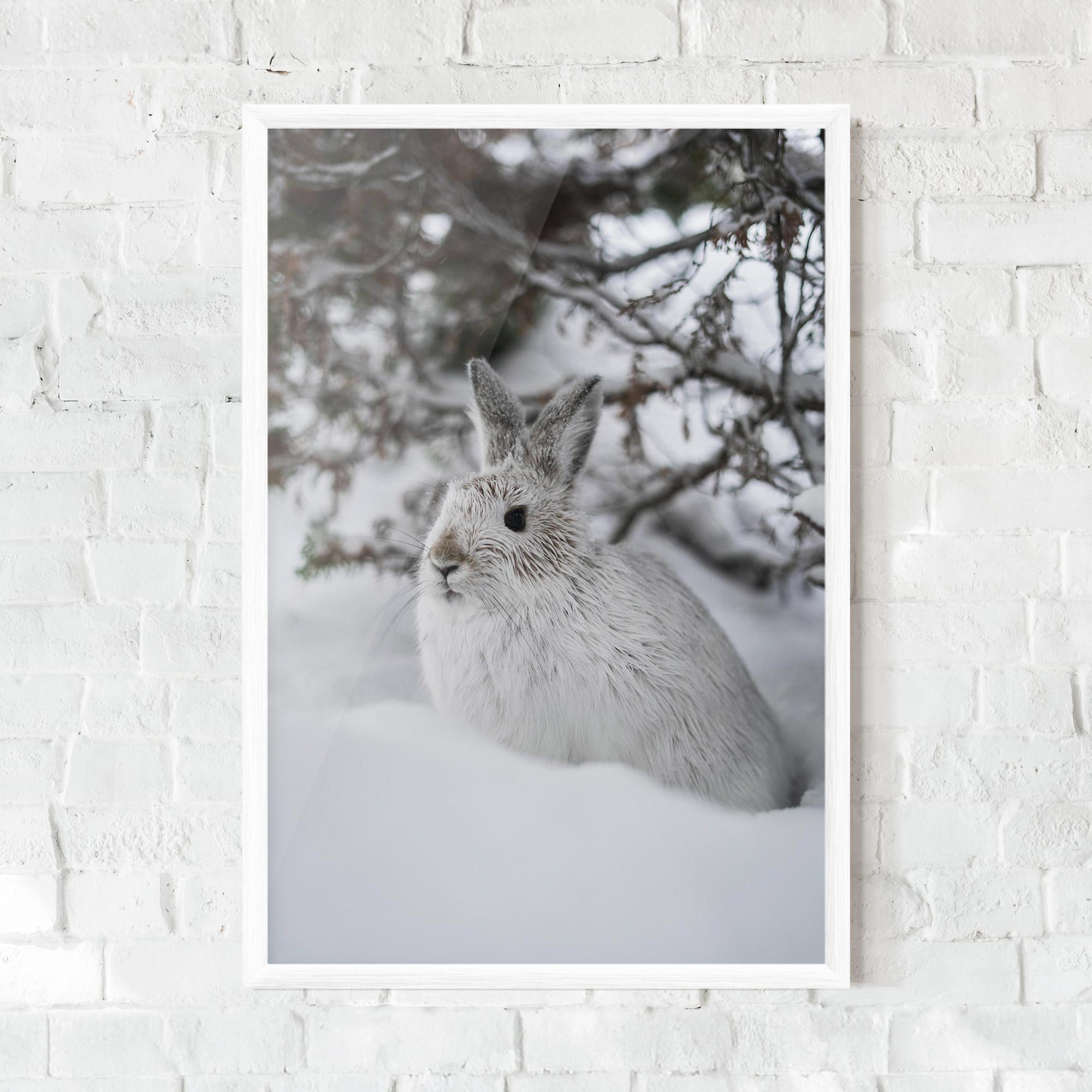 Gerahmte Poster Bunny In Snow mockup 0