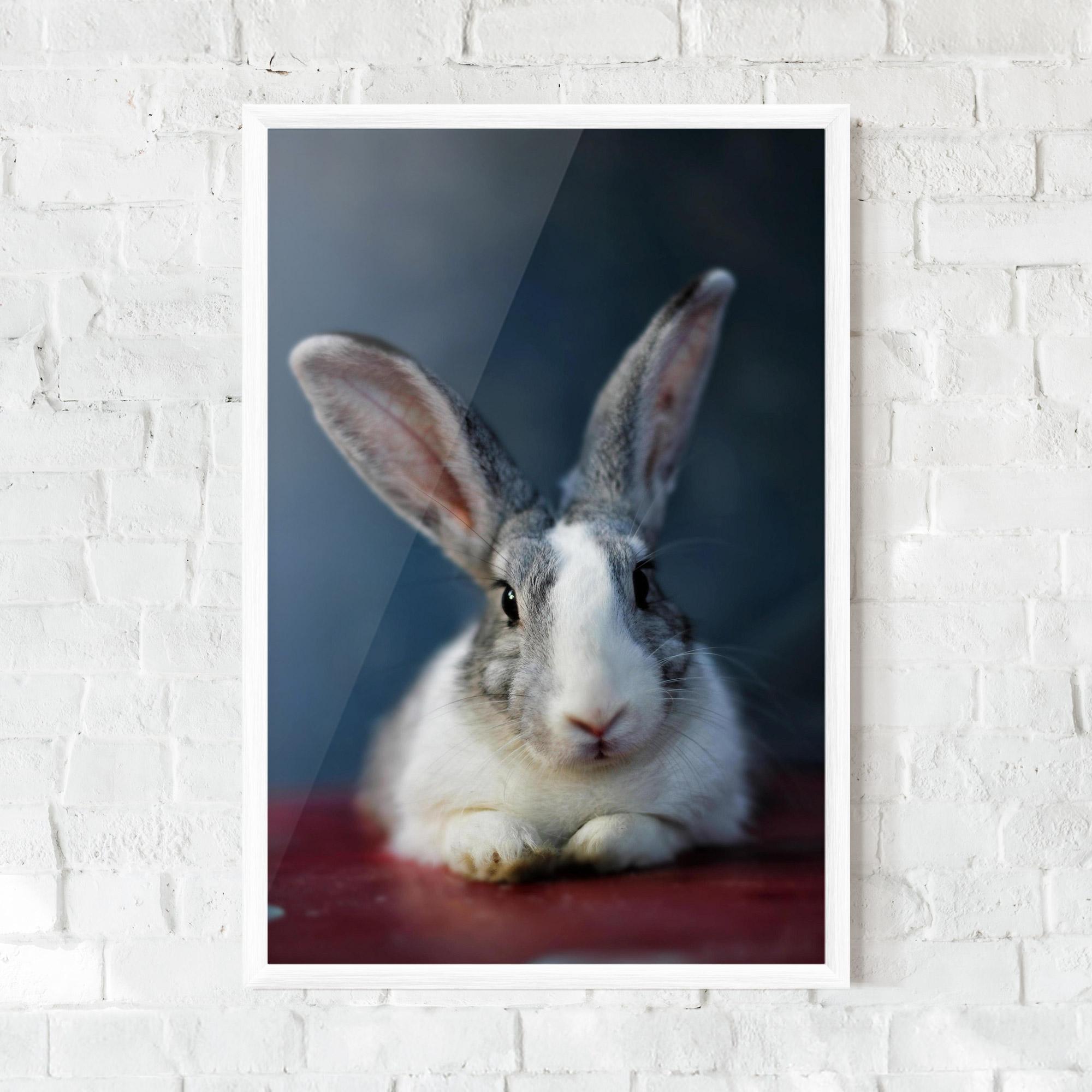Gerahmte Poster Cute Grey Bunny mockup 0
